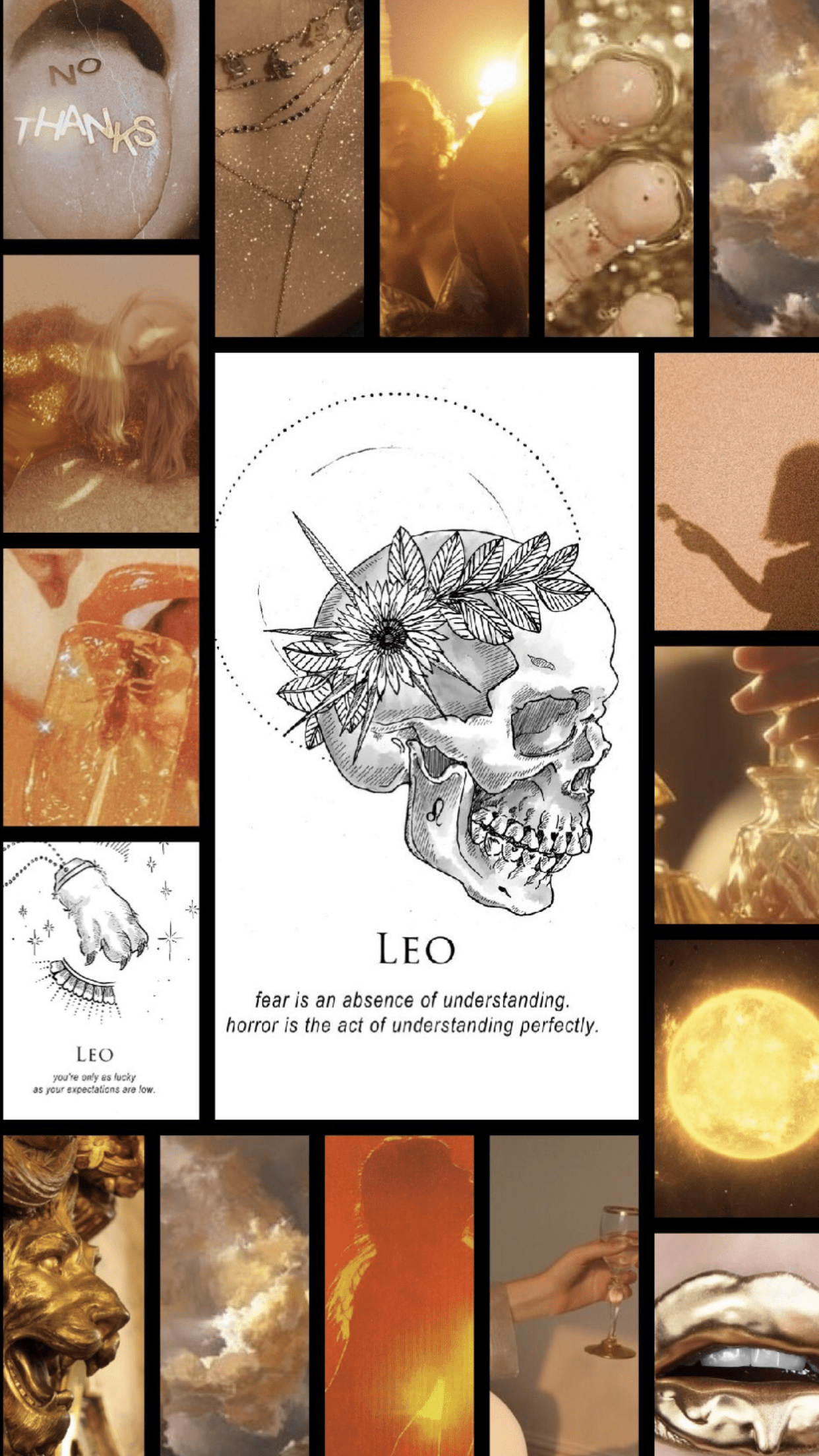 1242x2208 Aesthetic Zodiac Signs Wallpaper Leo. Aesthetic Zodiac Signs Wallpaper. Zodiac leo art, Star sign art, Astrology leo