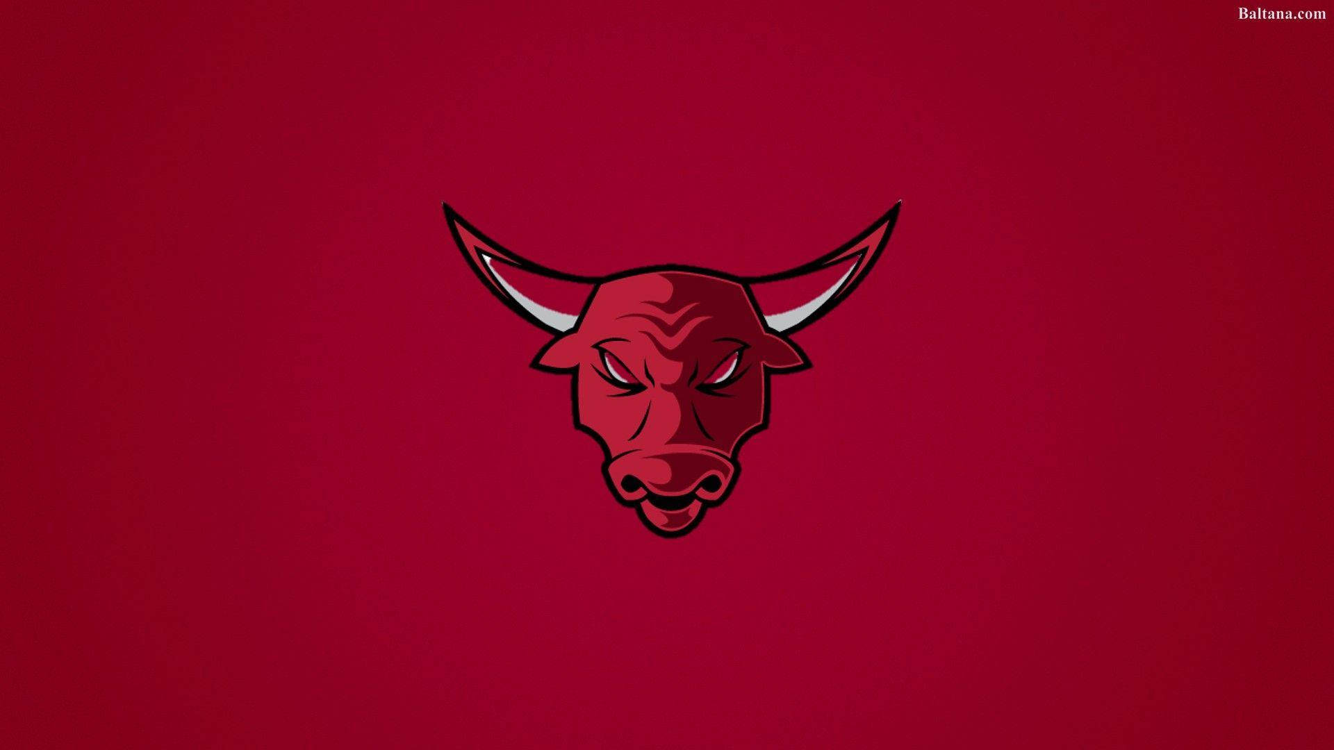 1920x1080 Chicago Bulls Wallpaper 4k