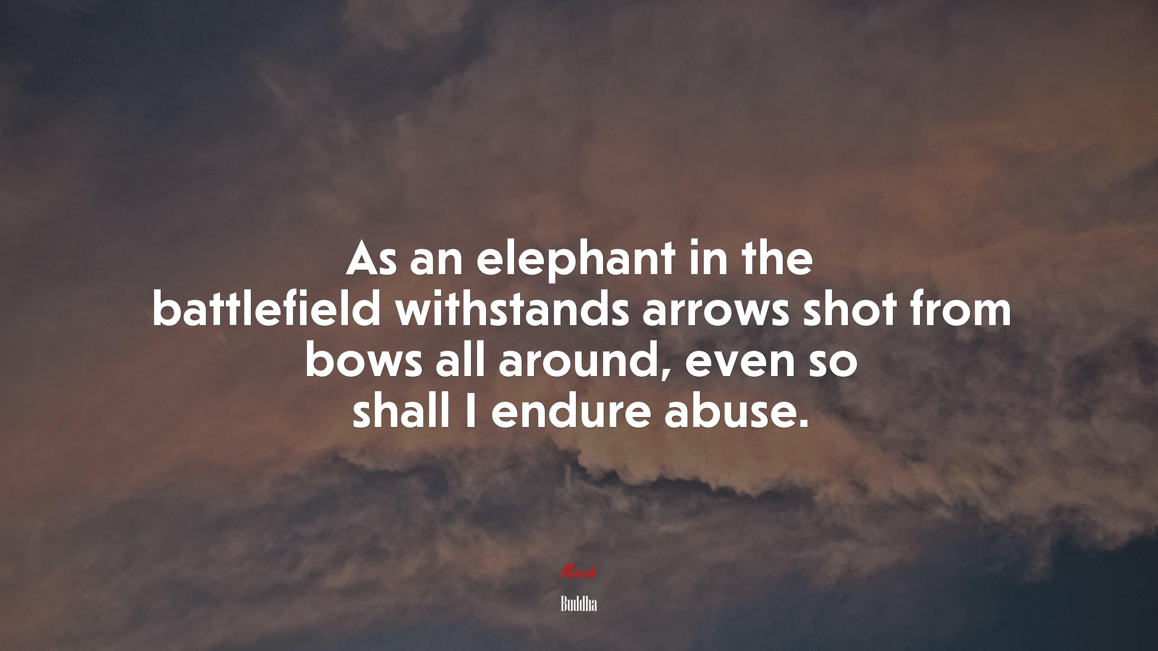 3840x2160 As an elephant in the battlefield withstands arrows shot from bows all around, even so shall I endure abuse. Buddha quote, 4k wallpaper Gallery HD Wallpaper