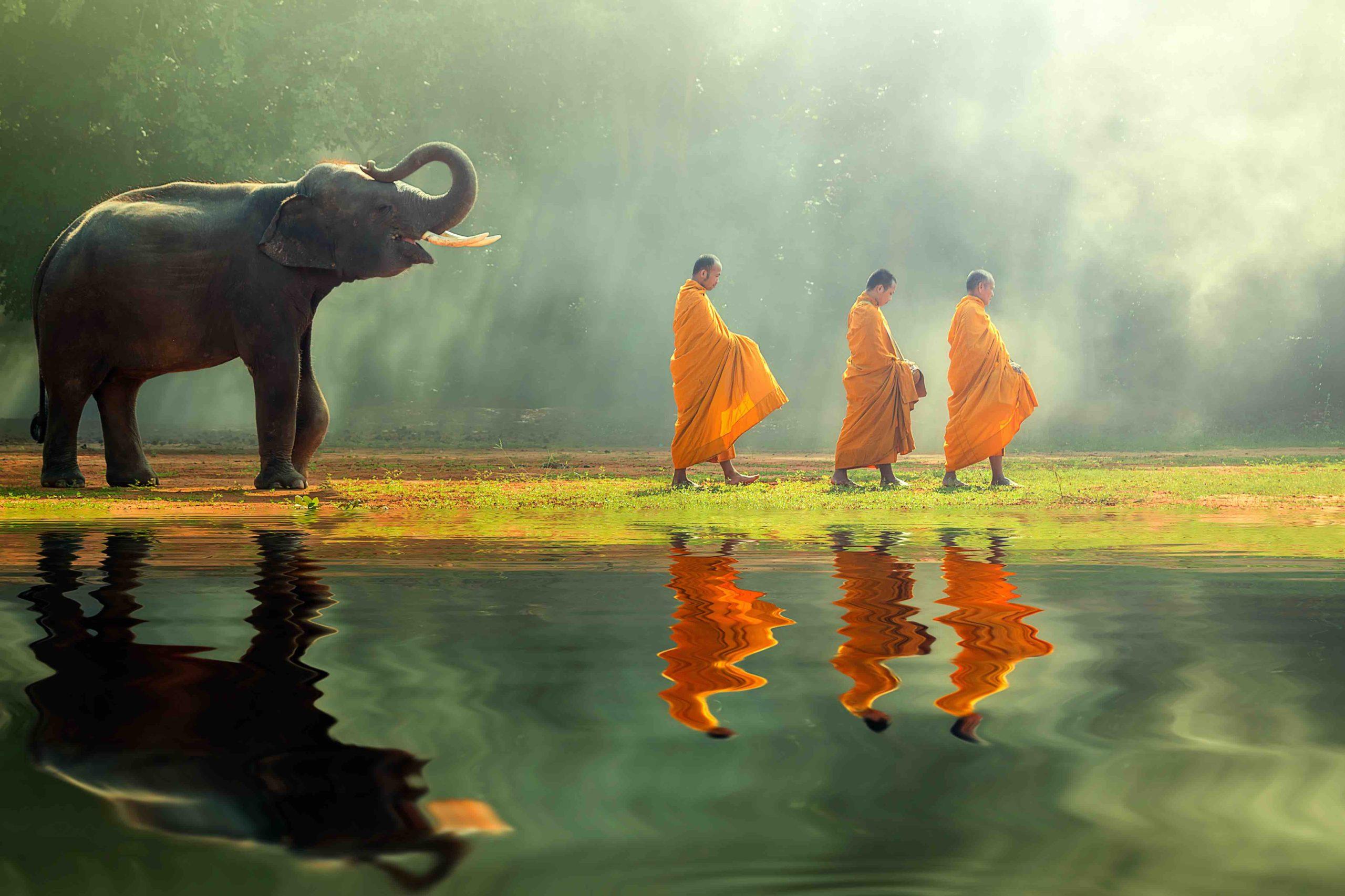 Buddha Elephant Wallpapers - Top Free Buddha Elephant Backgrounds