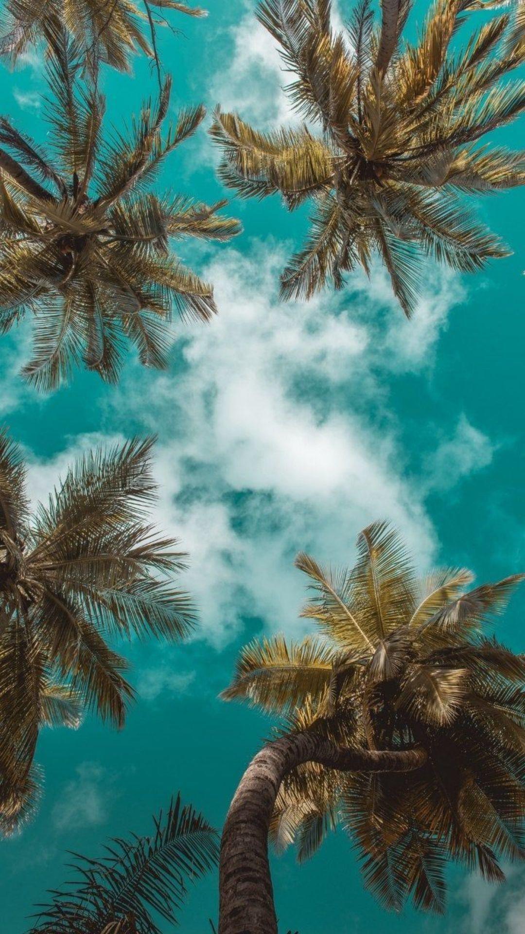 1080x1920 Summer iPhone Wallpaper Summer iPhone Wallpaper
