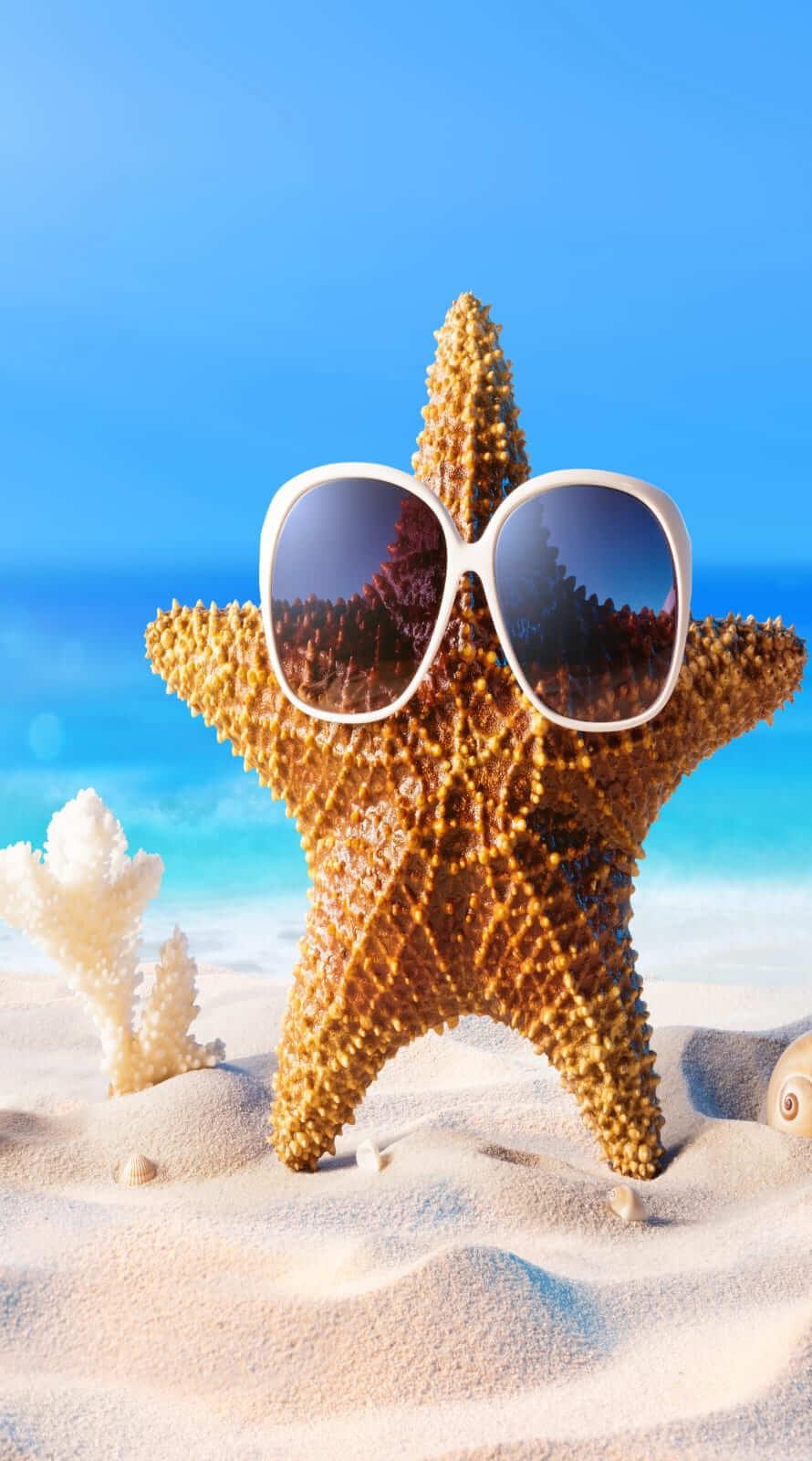 890x1600 Super Cool summer wallpaper iphone Best summer background for all Phone 13 pro max Wallpaper, iPhone 12 Background, iPhone Wallpaper, iPhone background. : WallpaperUpdate, Best iPhone Wallpaper and iPhone background