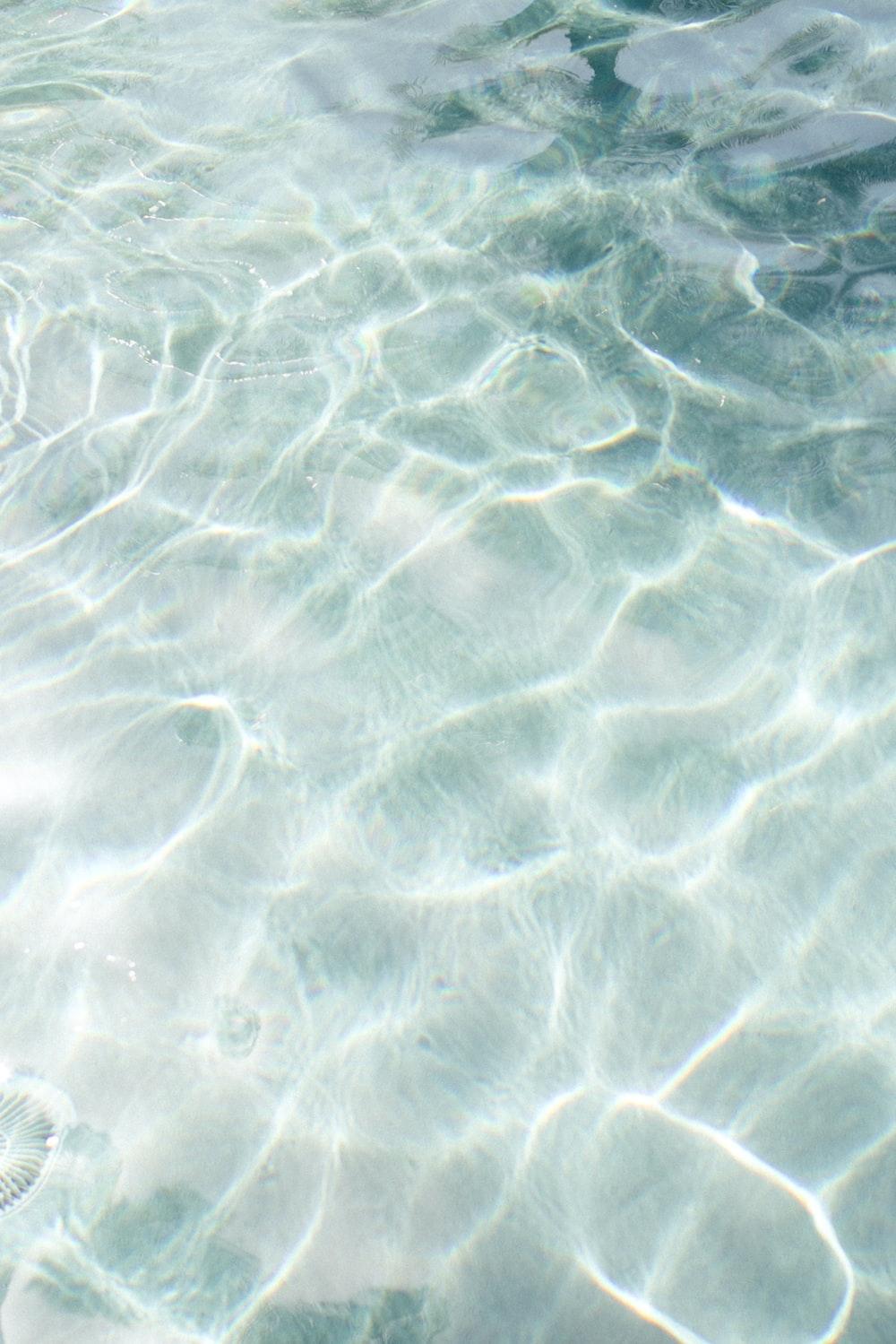 1000x1499 Summer Wallpaper: Free HD Download [HQ]