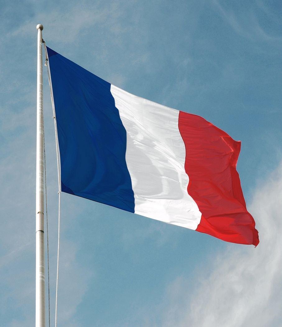 320x480 France Flag Iphone 3g wallpaper