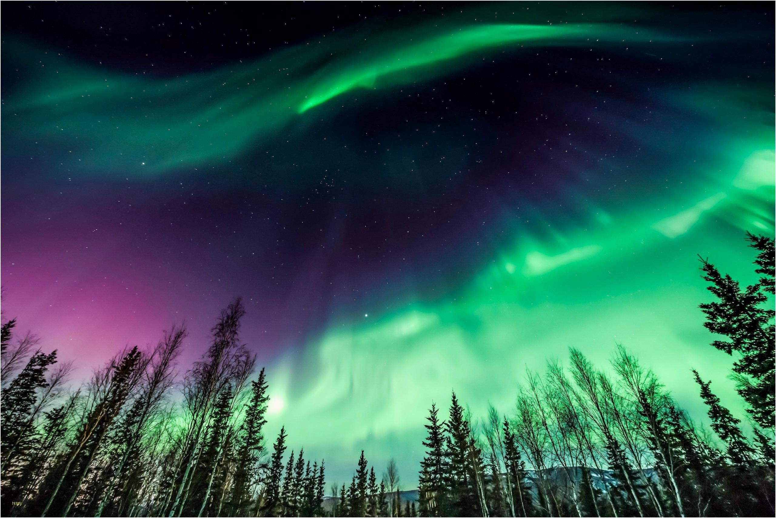 2560x1708 Alaska Northern Lights Wallpaper