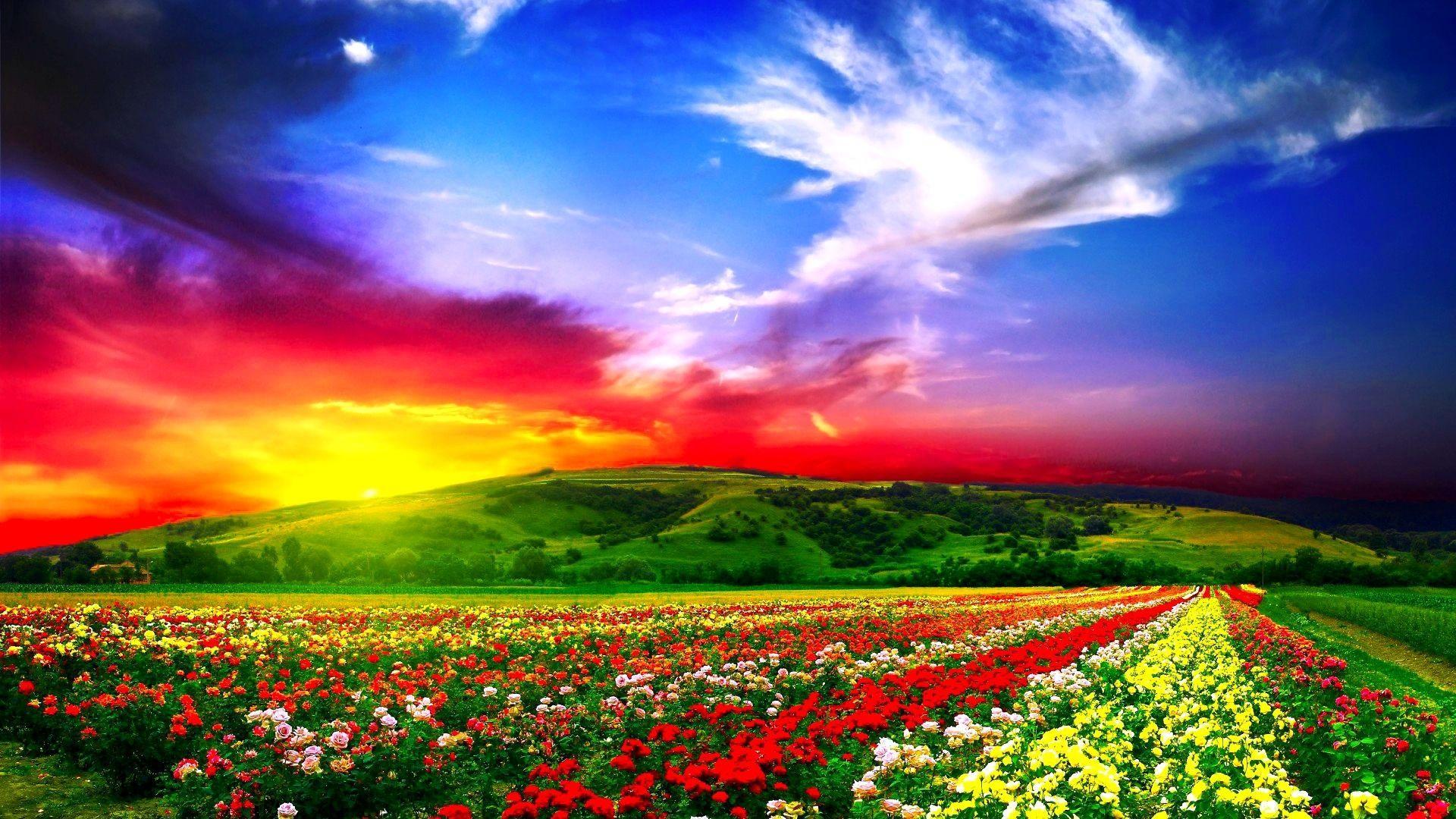 1920x1080 Beautiful Wallpaper HD 1080p
