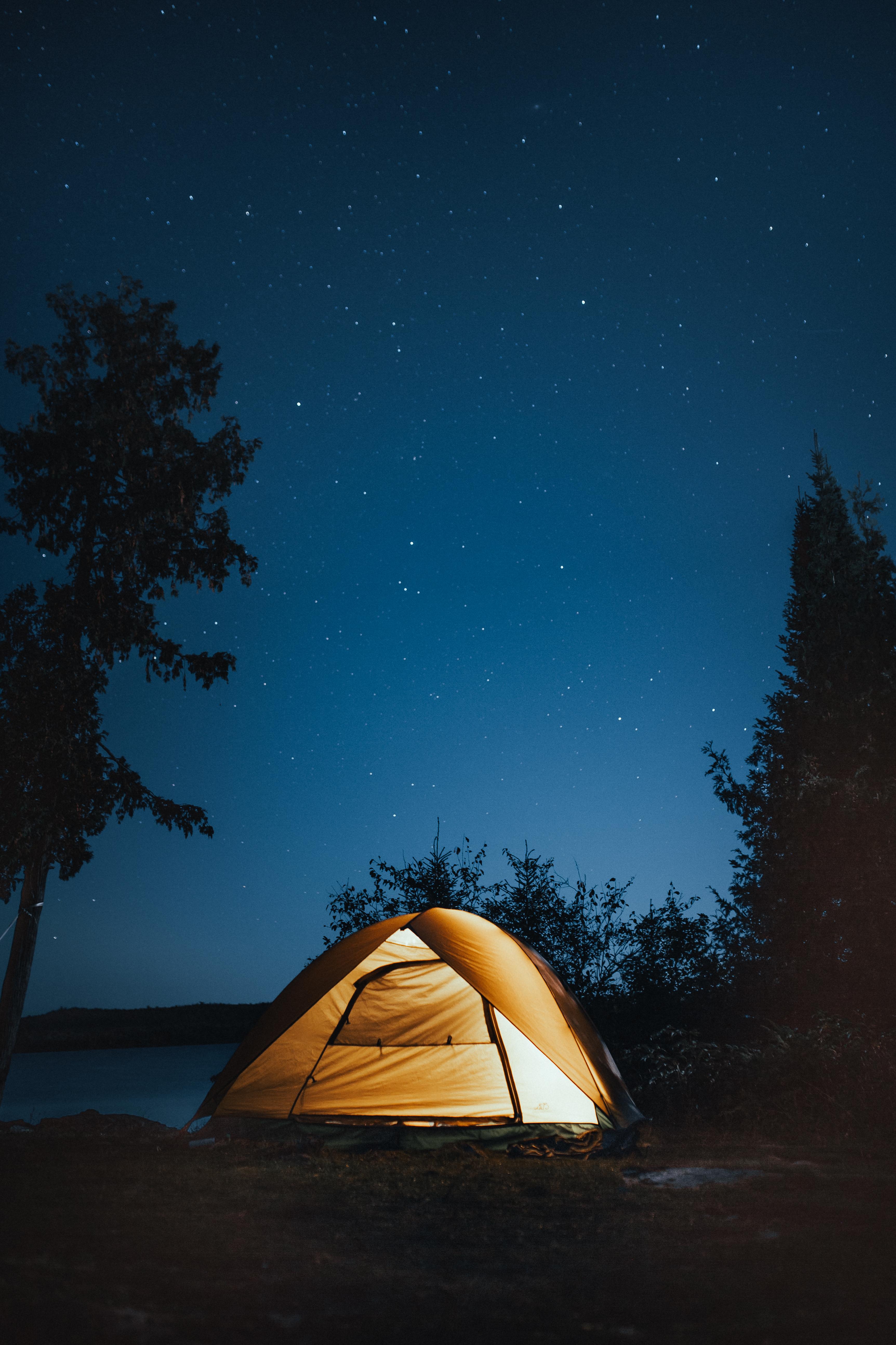 3449x5173 Photo of Tent at Near Trees · Free