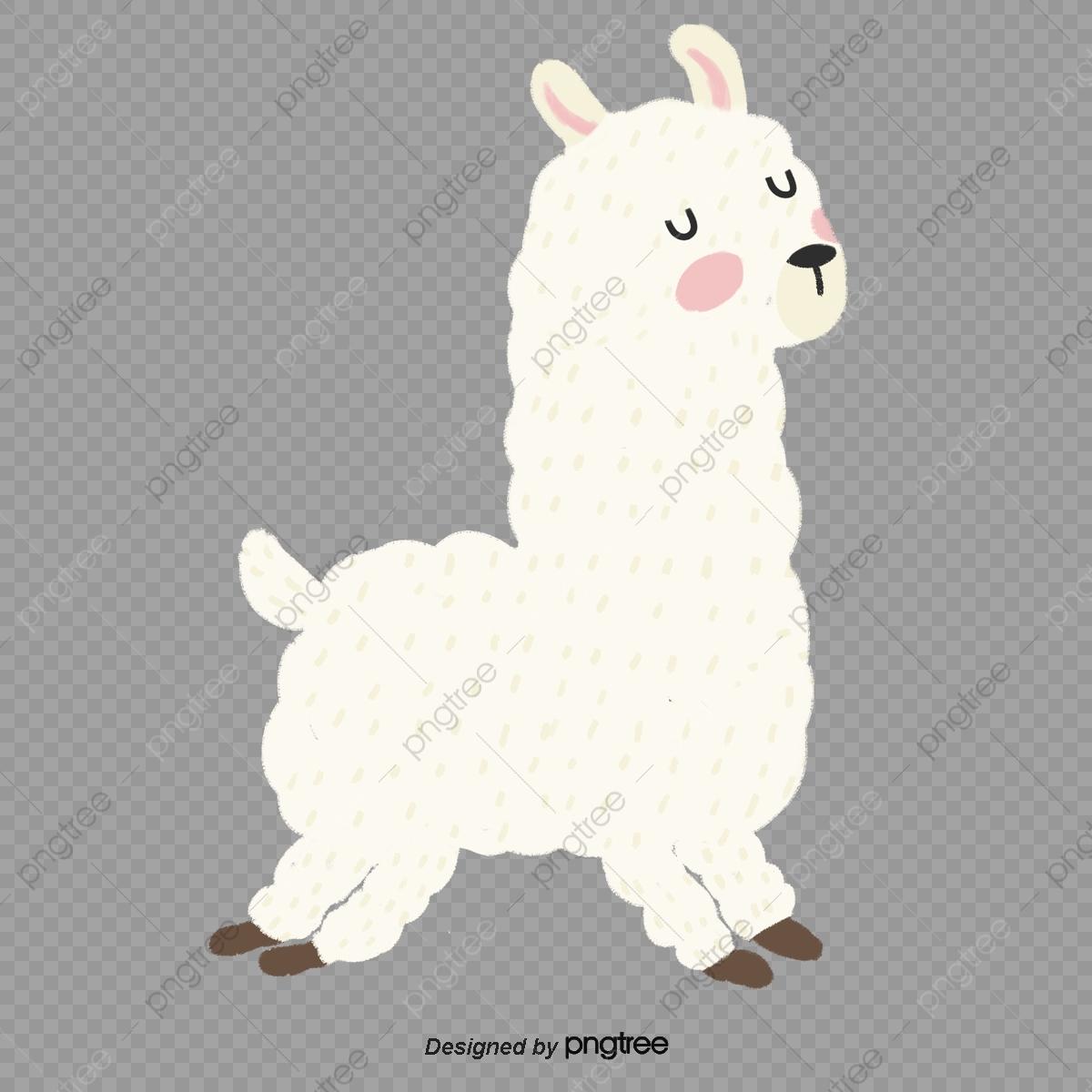 1200x1200 Llama PNG Transparent Image Free Download