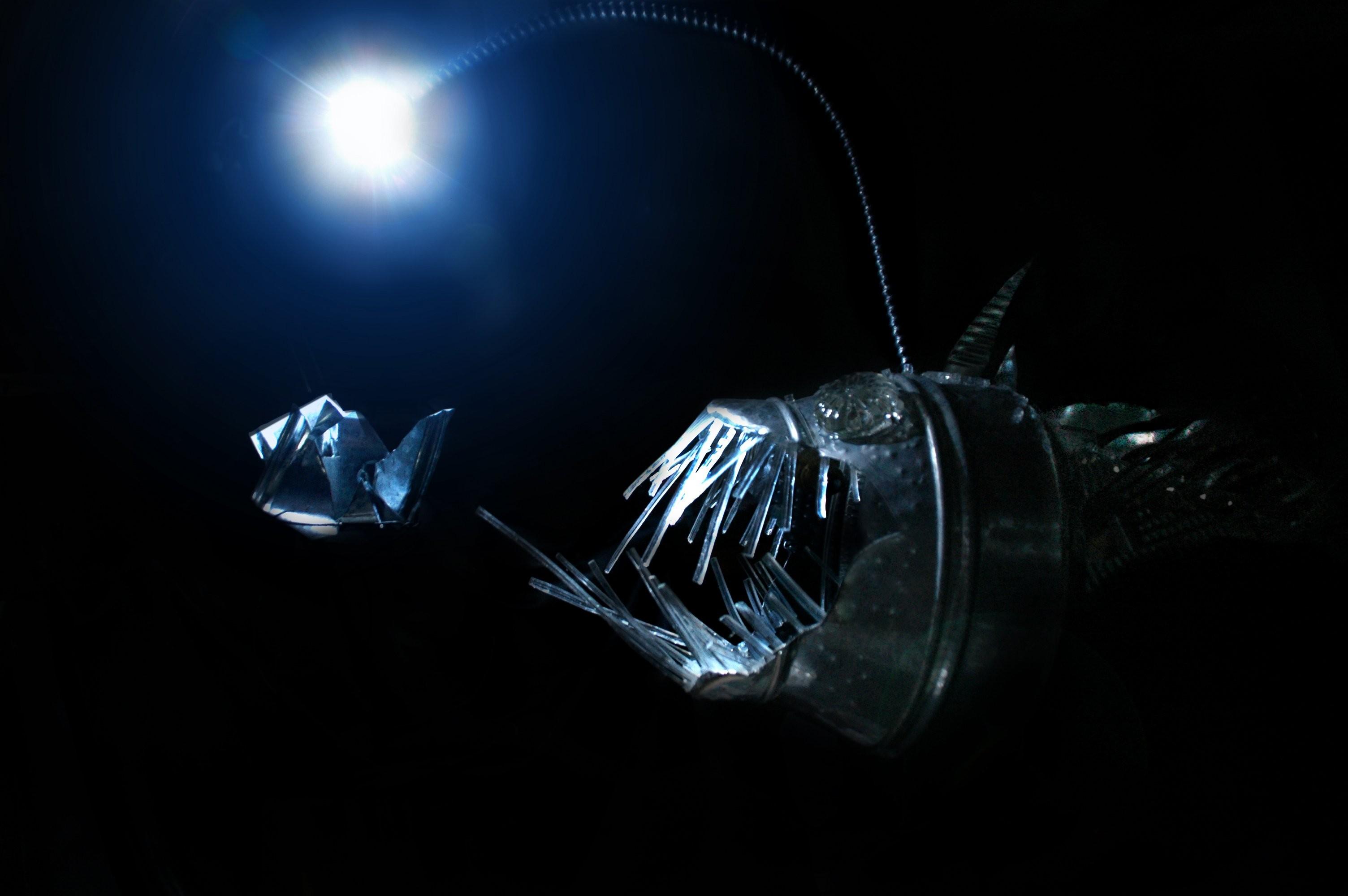 3008x2000 Free Download anglerfish deep sea creature fish wallpaper full HD (1080p)