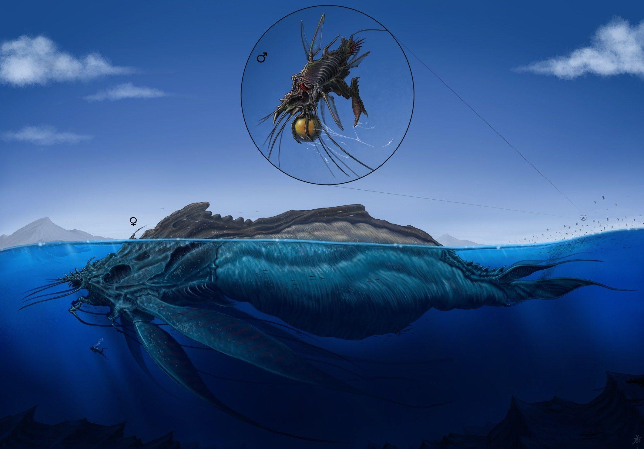 2124x1482 Sea Monsters Wallpaper