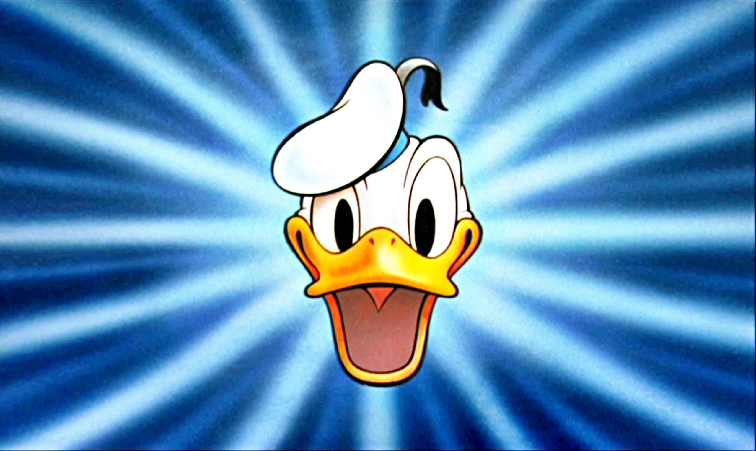 2560x1526 Donald Duck Wallpaper
