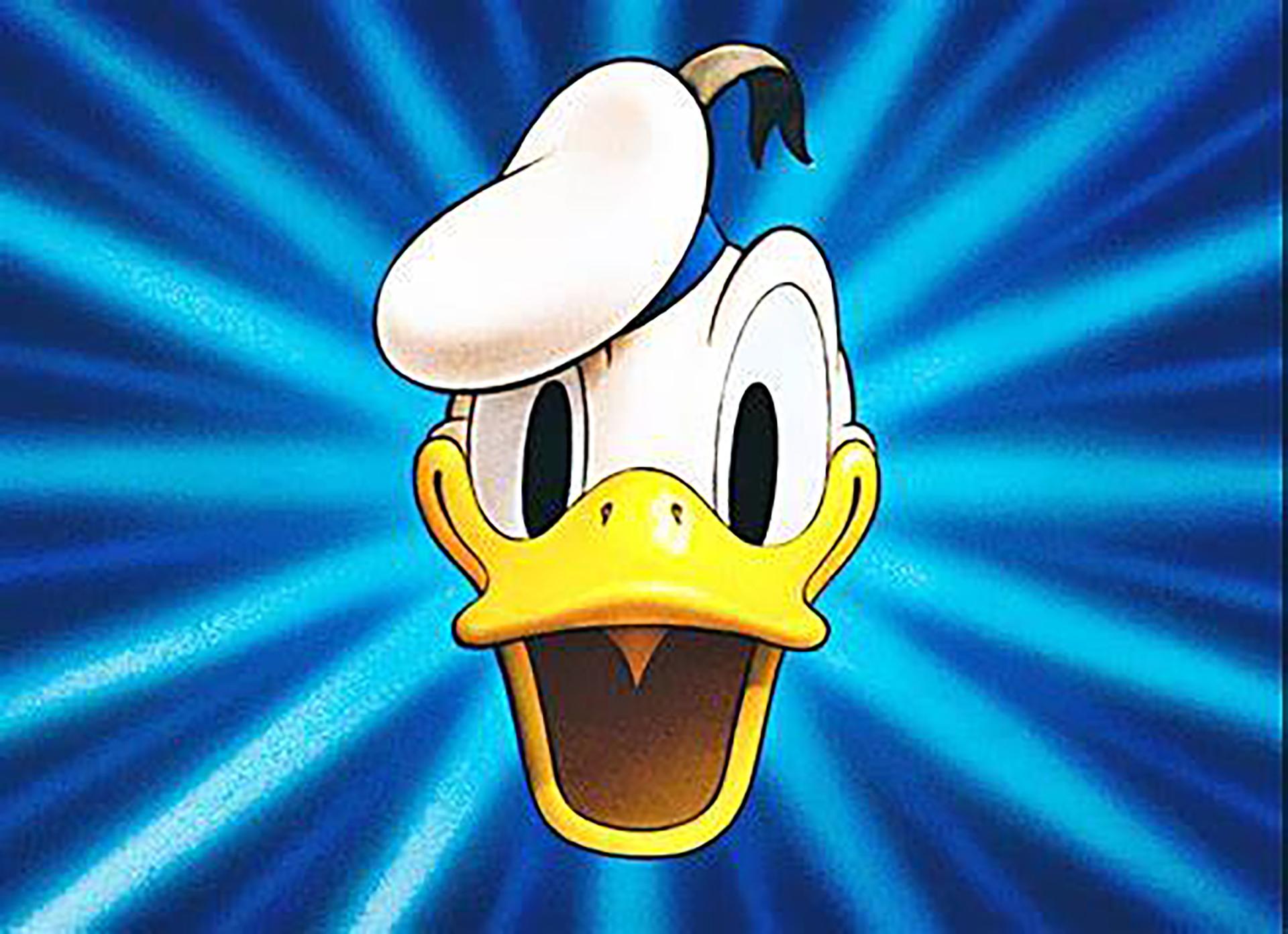 1920x1393 Donald Duck Angry Wallpaper Download