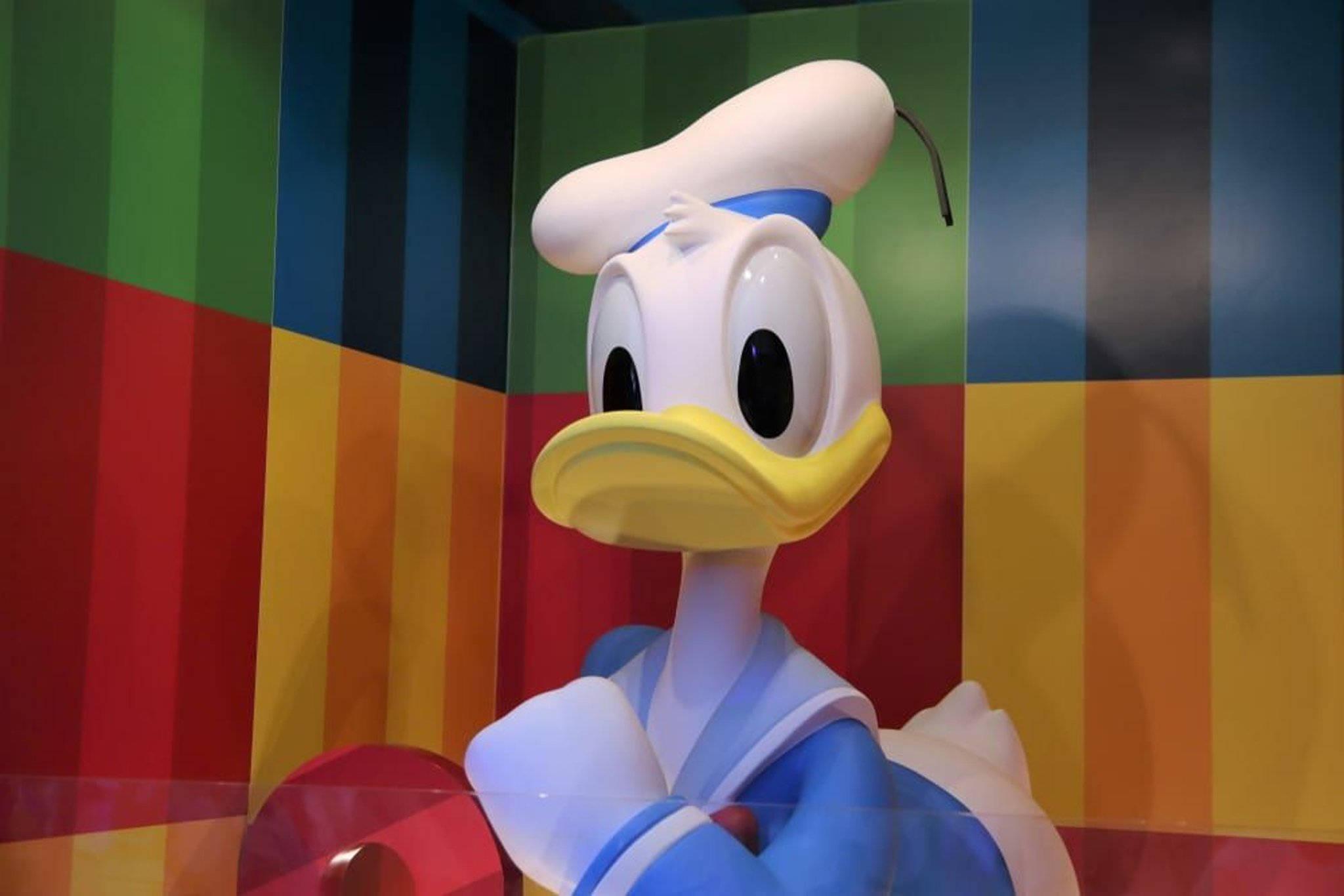 2048x1366 Download Donald Duck Figure Wallpaper