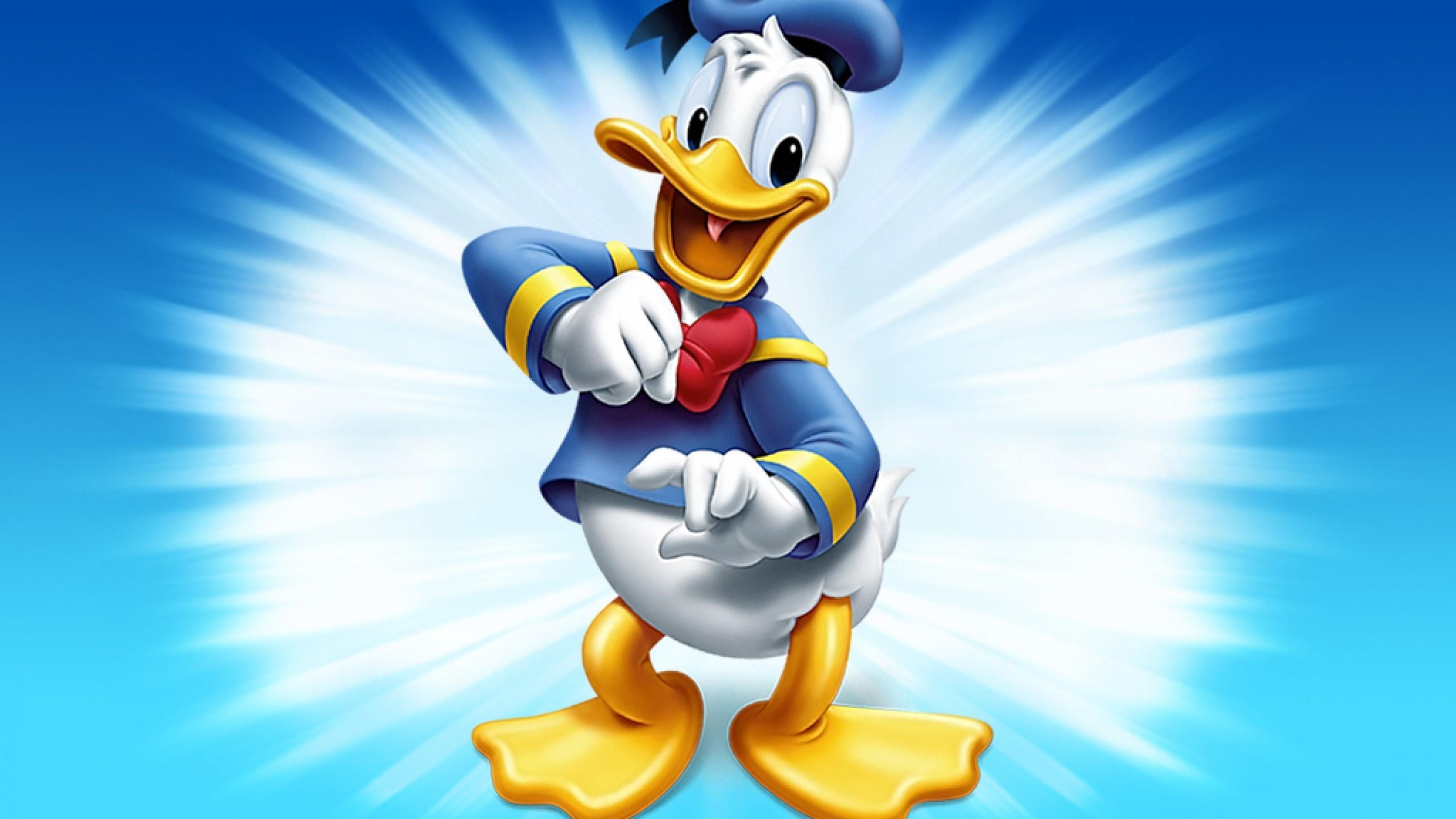 2560x1440 Baby Duck Wallpaper
