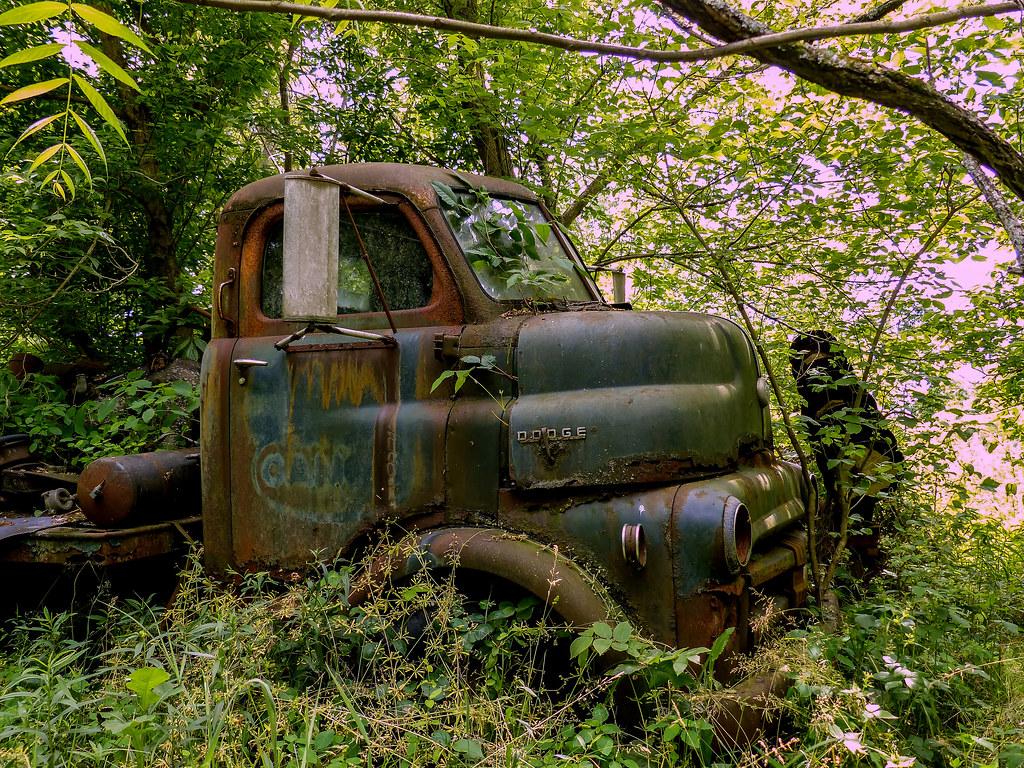 1024x768 Rusty Old Dodge COE Flatbed Truck. On Tom's farm in Batavia
