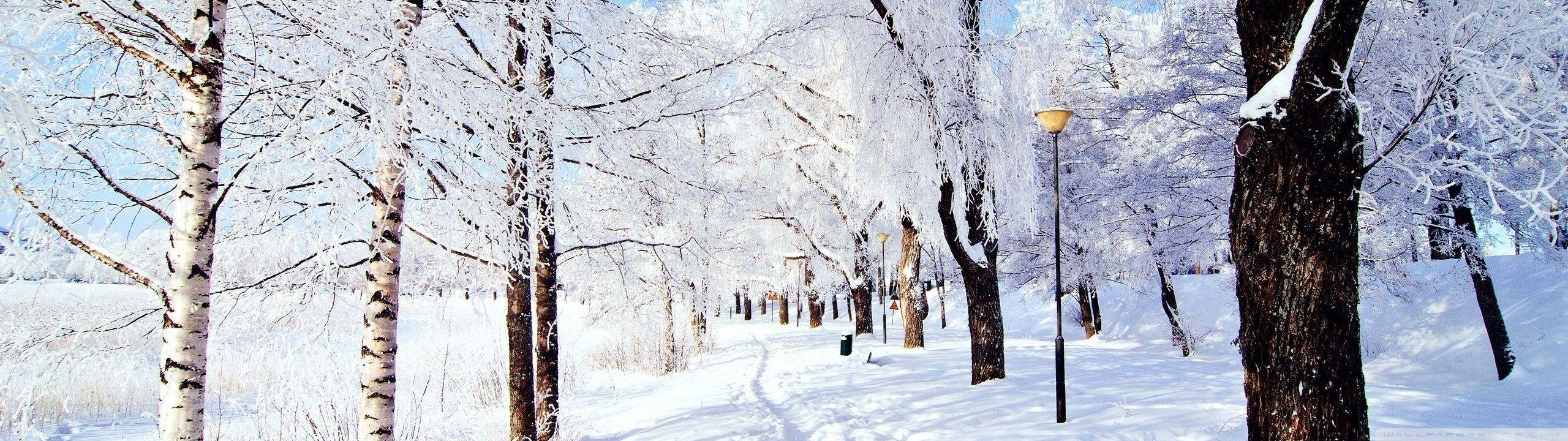 2560x720 Winter Dual Monitor Wallpaper Wonderland ❤ 4k HD Desktop