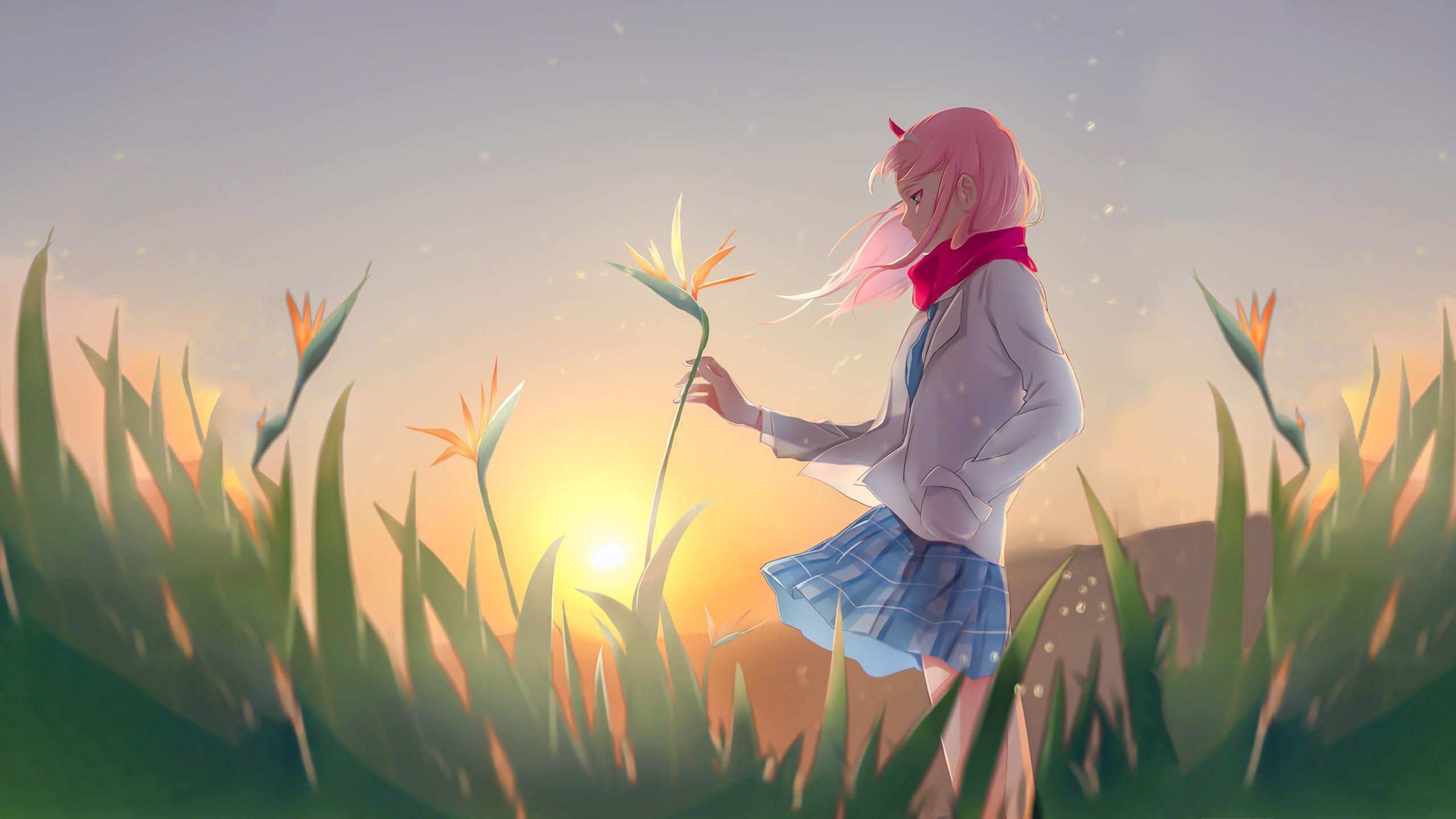 2560x1440 Anime Zero Two Darling In The FranXX iPad Air HD 4k Wallpaper, Image, Background, Photo and Picture