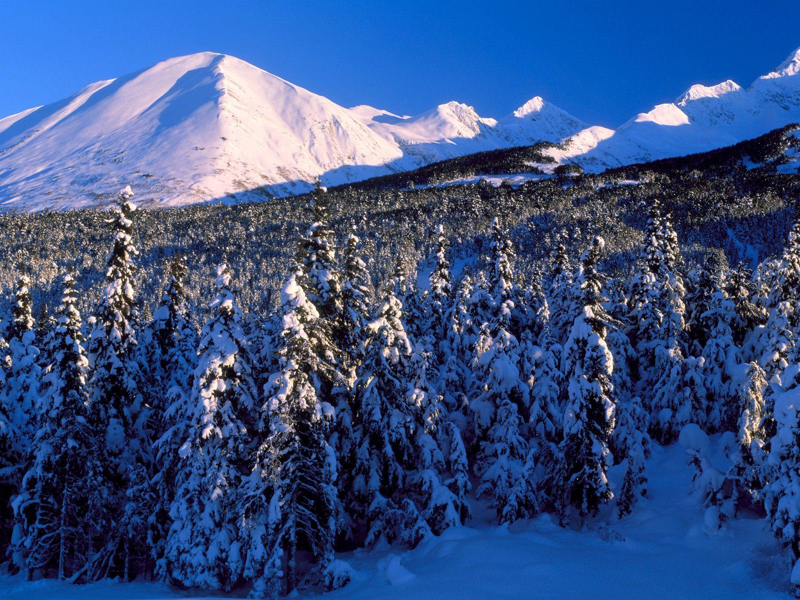 1600x1200 Winter Snow