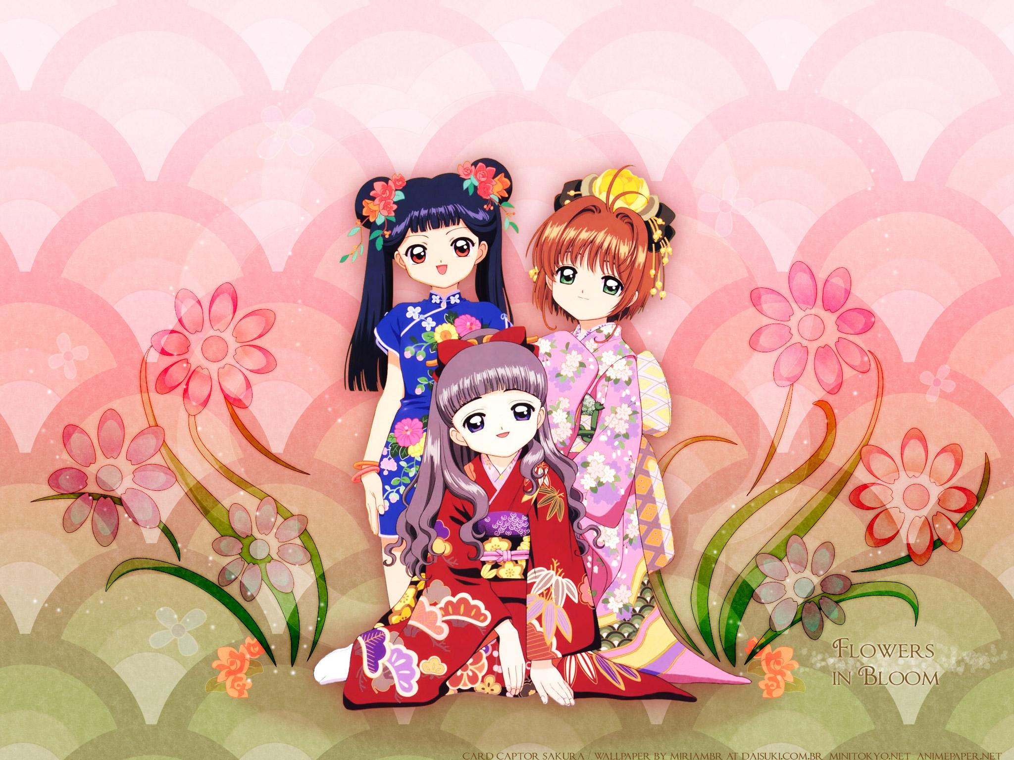 2048x1536 ccs Sakura Wallpaper