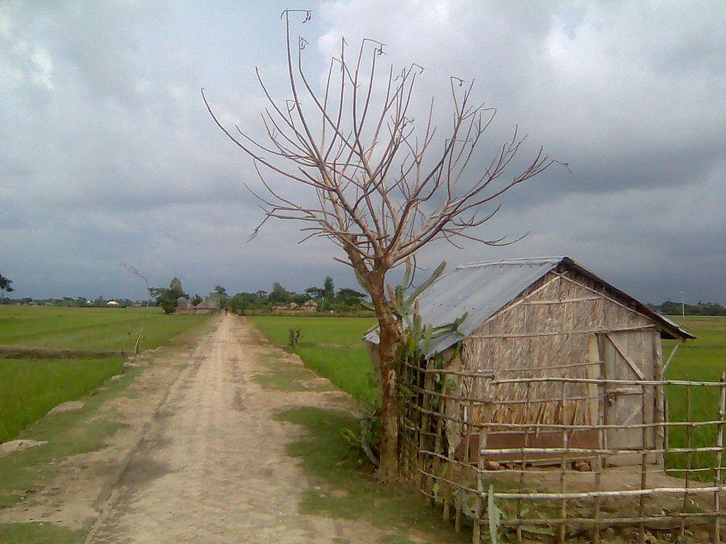 1024x768 Nature Of Bangladesh Wallpaper