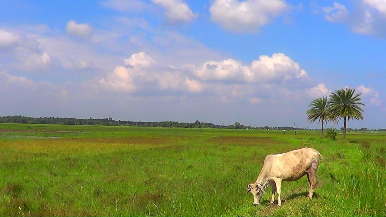 1280x720 Nature Of Bangladesh Wallpaper