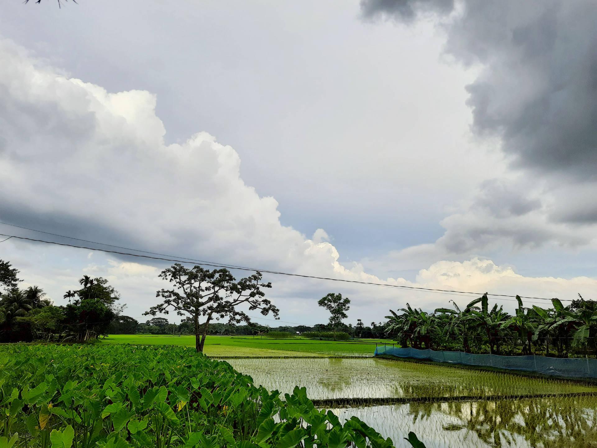1920x1440 Download Bangladesh Common Village Wallpaper