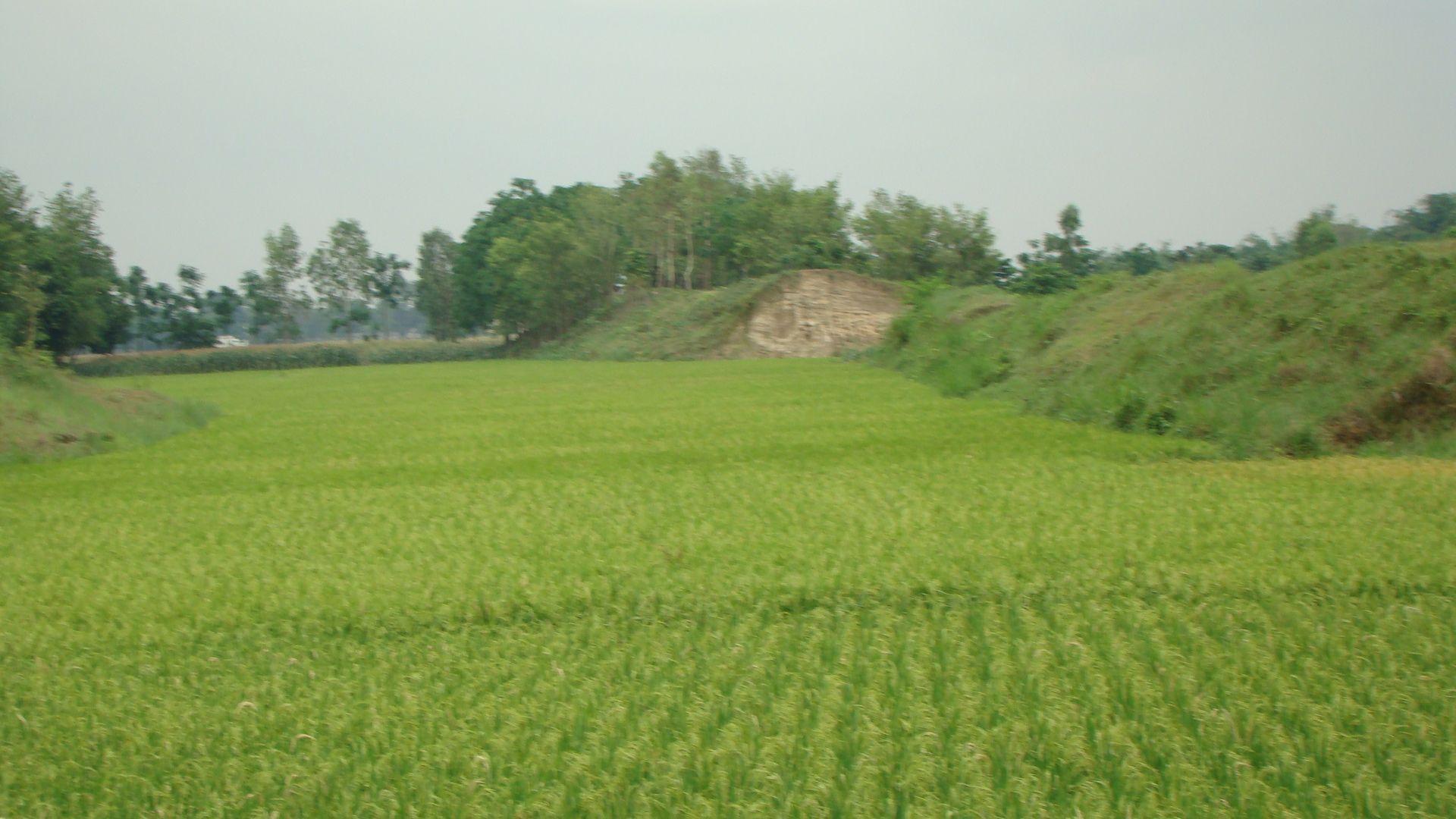1920x1080 Bangladesh Wallpaper
