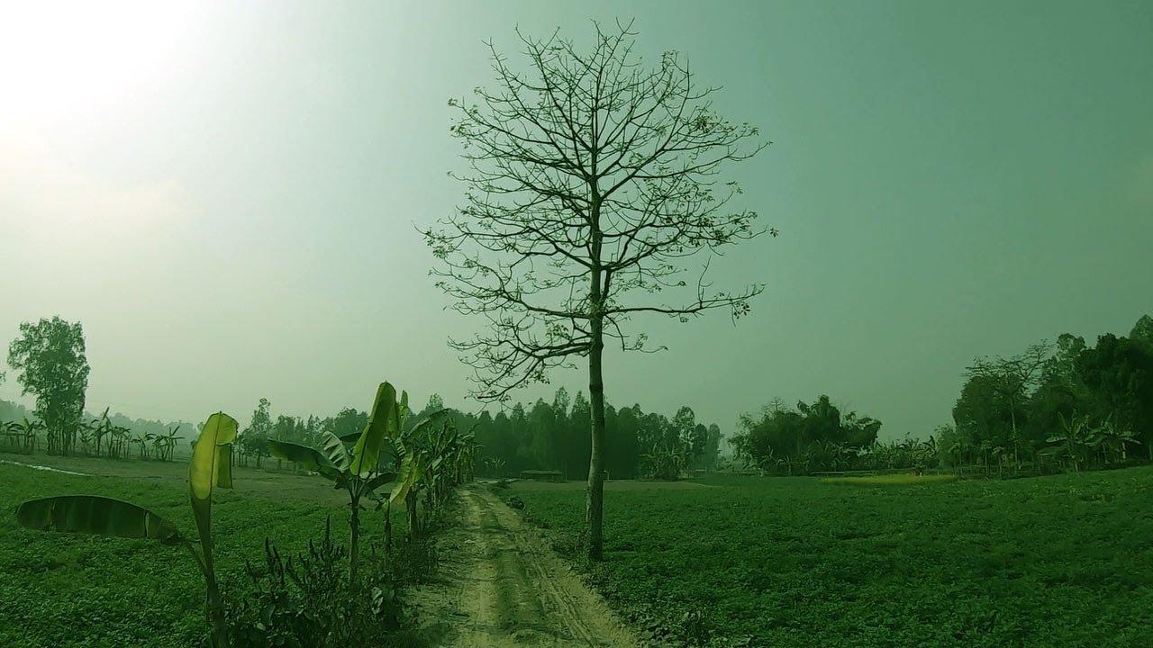 1280x720 Amazing Beautiful Nature and Life Of Bangladesh Village Road HD Video Part -80