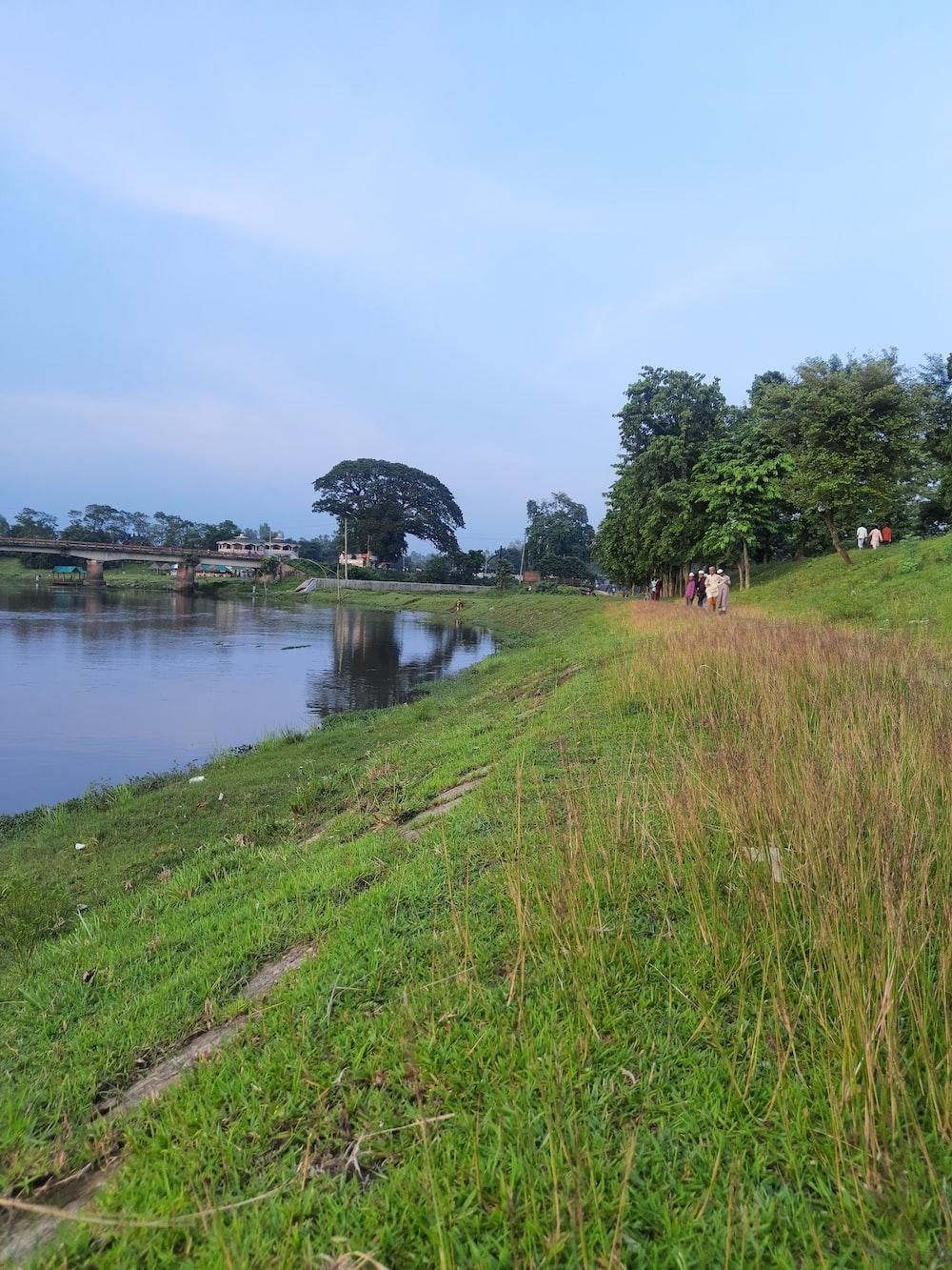 1000x1333 Bangladesh Nature Picture. Download Free Image