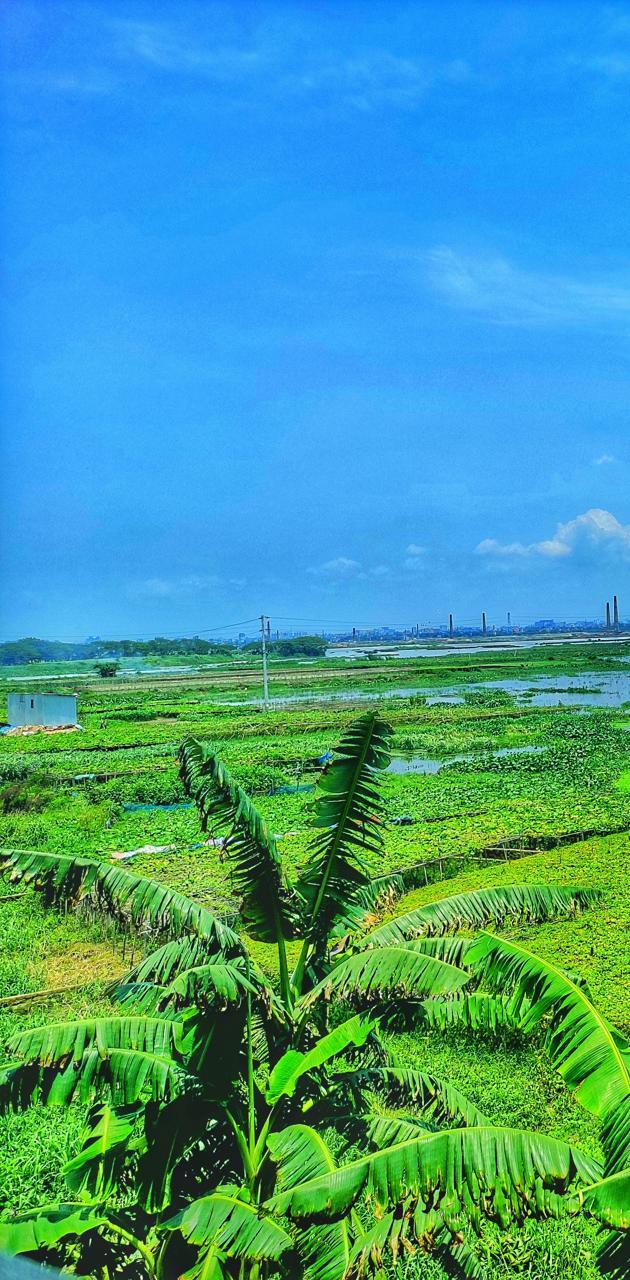 630x1280 Village Scene wallpaper
