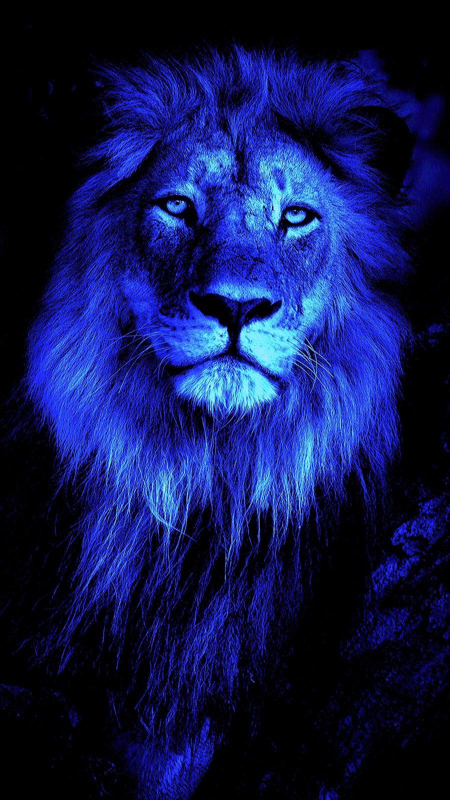 900x1600 blue lion (original by criskeen on zedge)