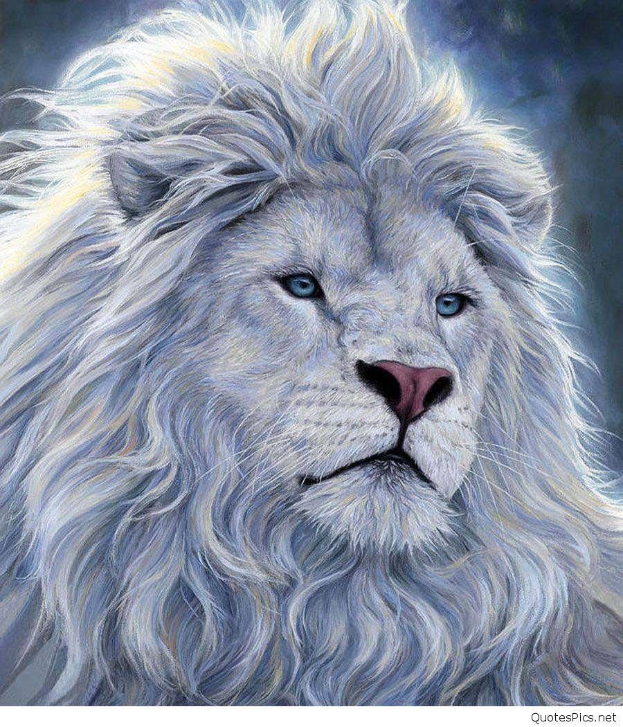 900x1050 Blue Lion Wallpaper