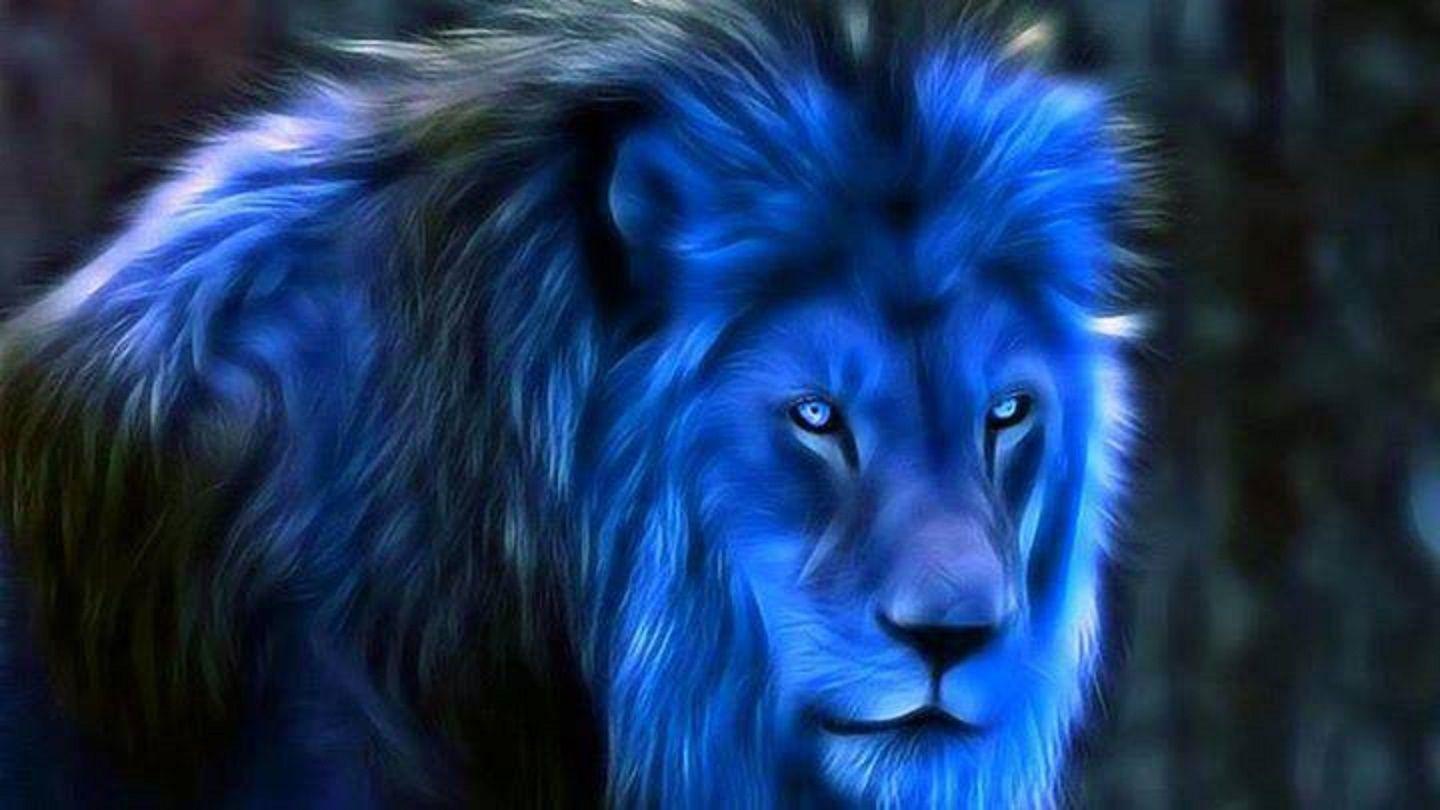 1440x810 Midnight Blue Fantasy Lion Wallpaper HD