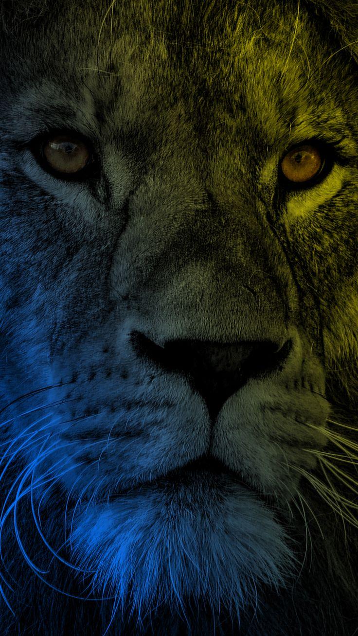 736x1308 Тигровый рисунок. Lion image, Lion wallpaper, Lion wallpaper iphone