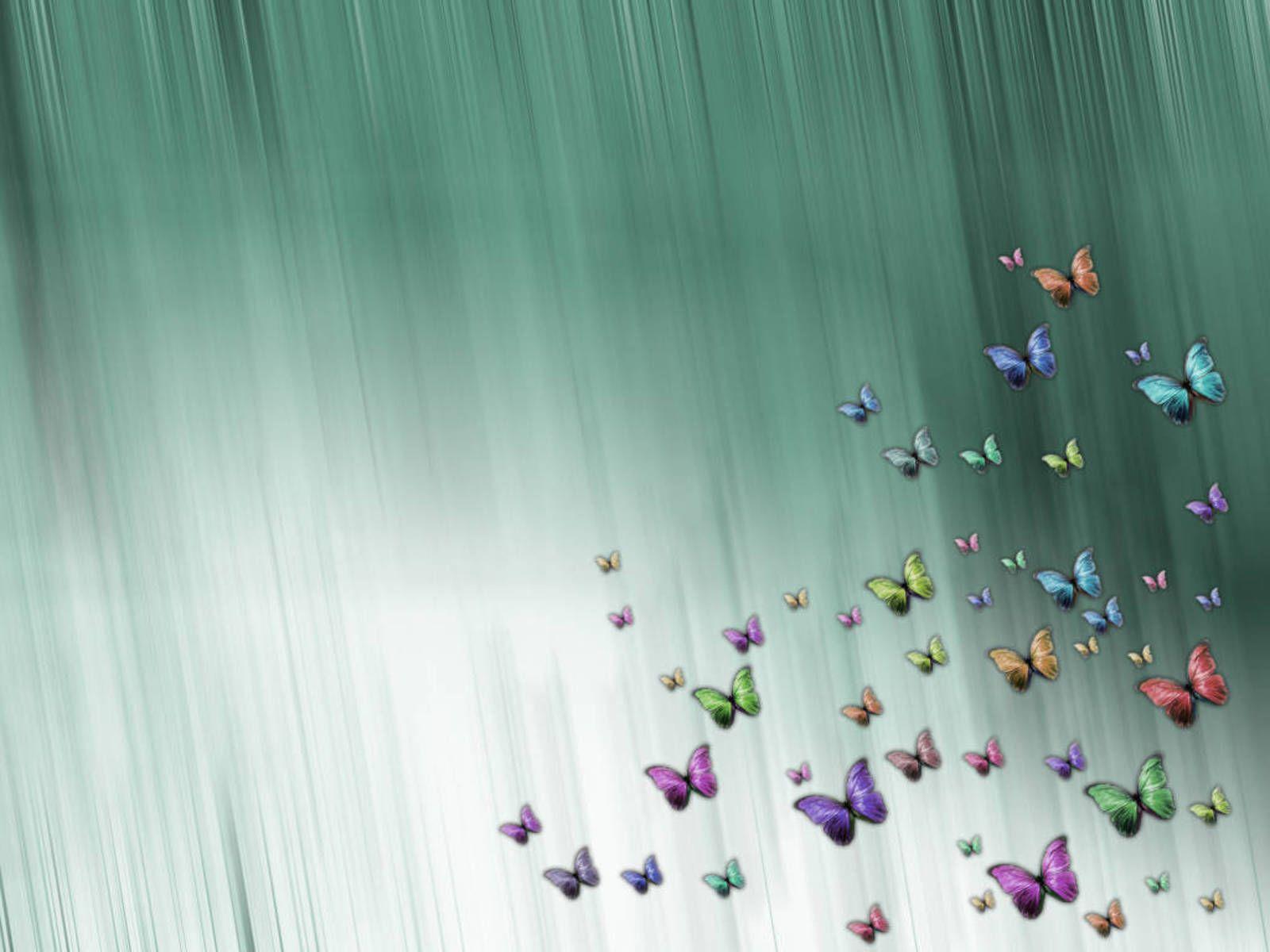 1600x1200 Pretty Butterfly Wallpaper Group 1600x1200