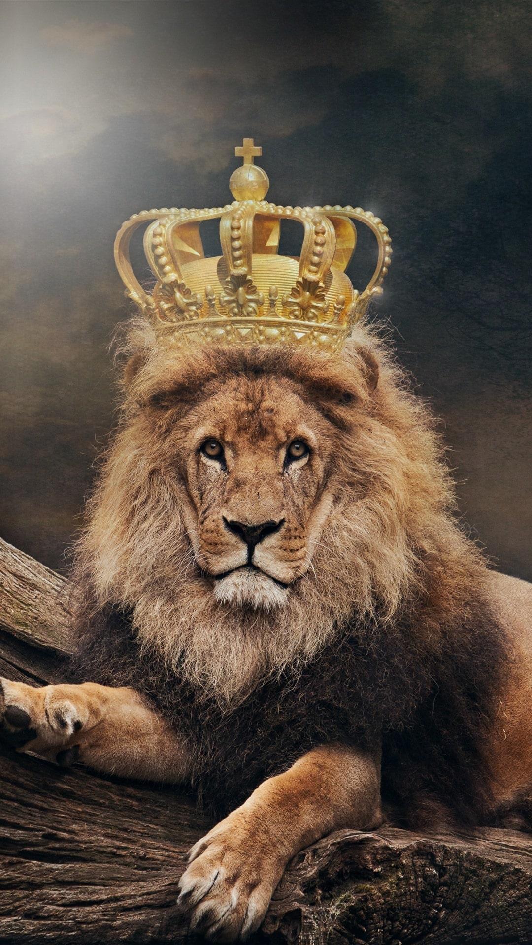 1080x1920 Lion Wallpaper