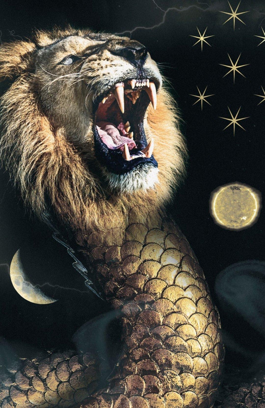 Lightning Lion Wallpapers Top Free Lightning Lion Backgrounds