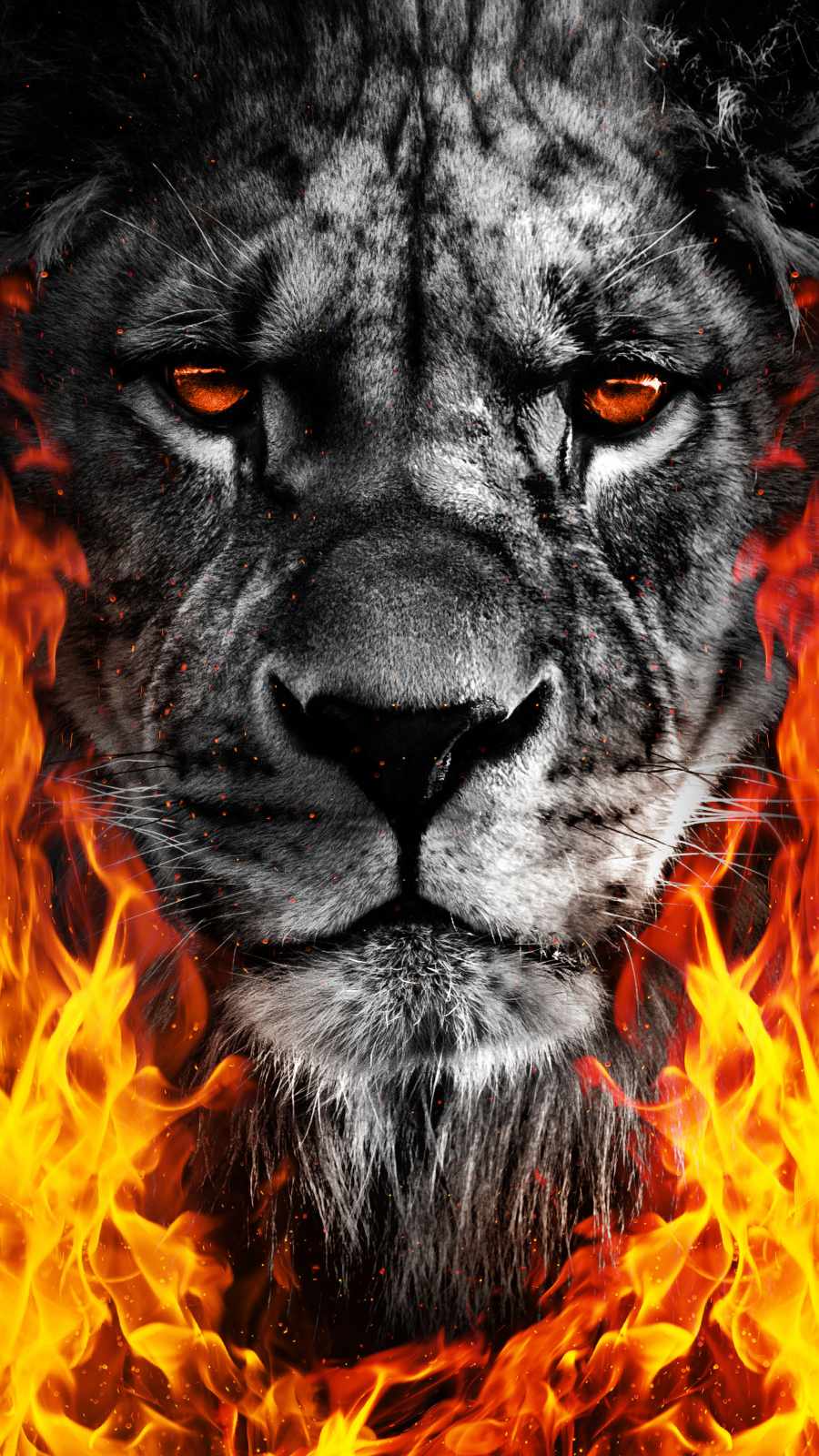 900x1600 Lion King Fire Wallpaper : iPhone Wallpaper