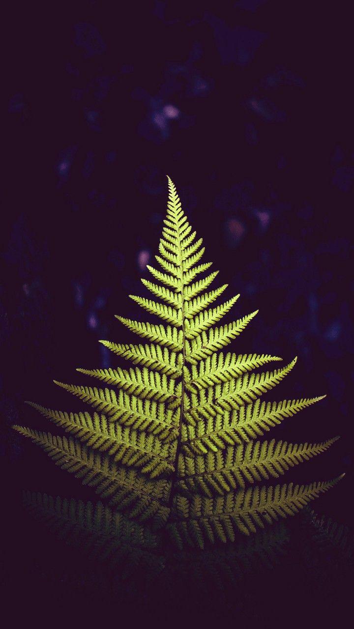 720x1280 HD Wallpaper. Nature image, Celestial, Celestial bodies