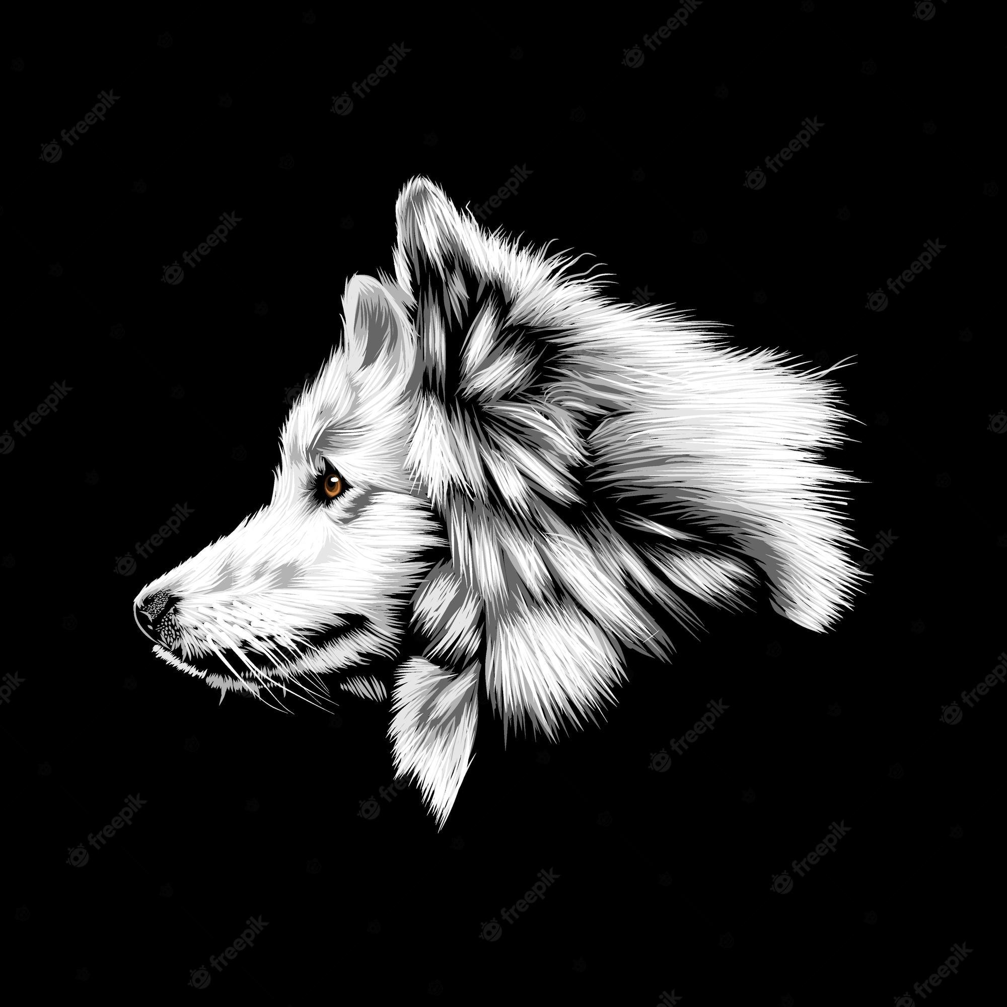 2000x2000 Wolf Wallpaper Image. Free Vectors, & PSD