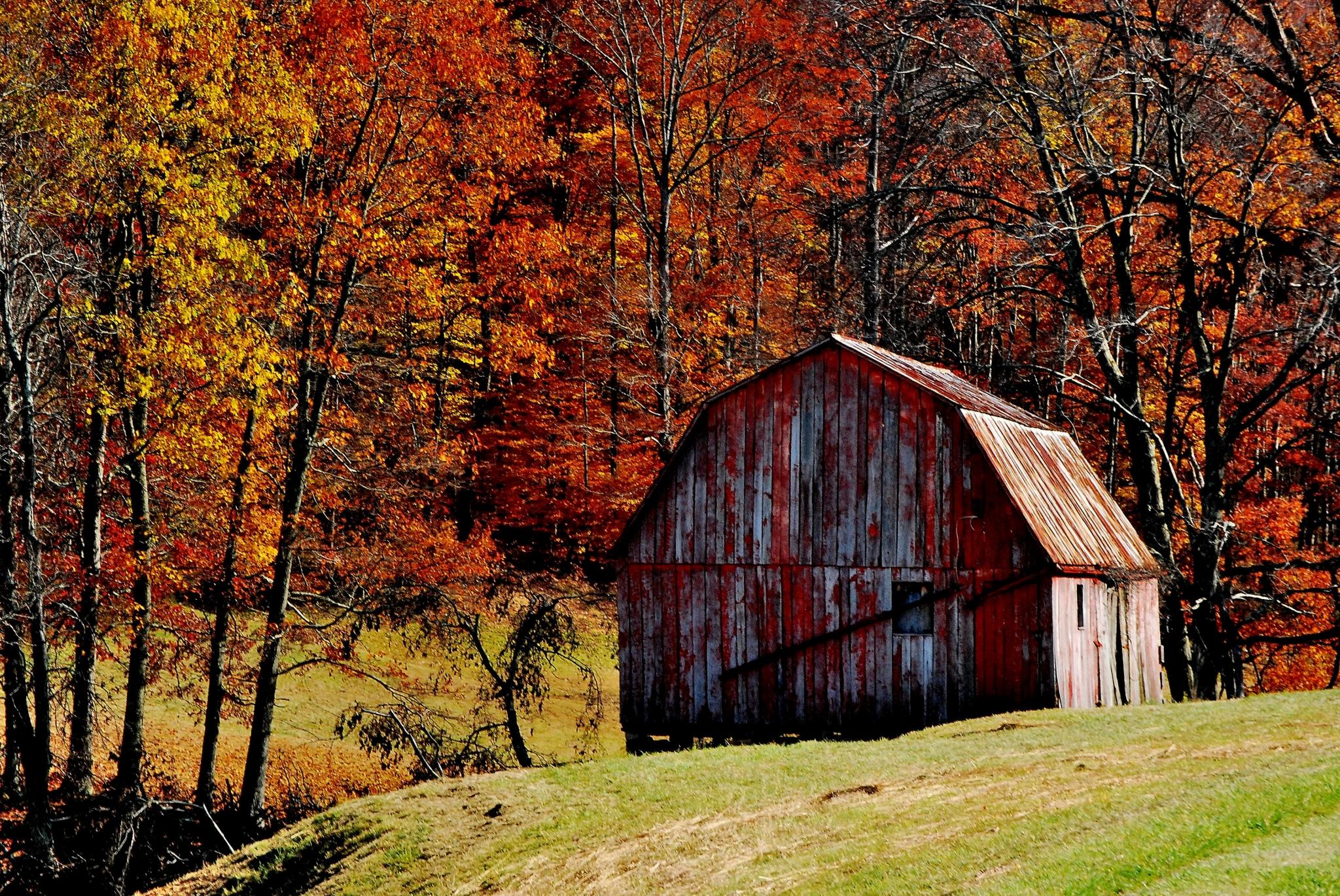 2048x1370 Free Download fall beautiful background desktop wallpaper full HD (1080p)