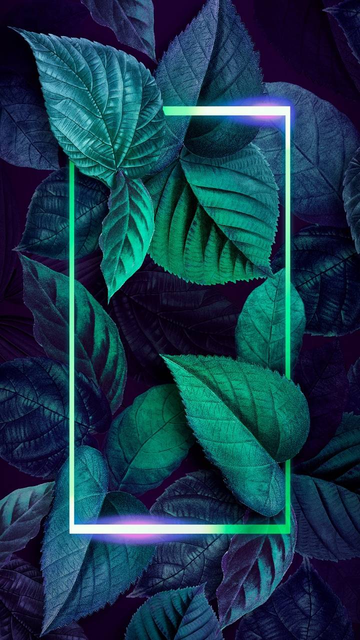 720x1280 Green Nature Foliage Neon Wallpaper Wallpaper : iPhone Wallpaper