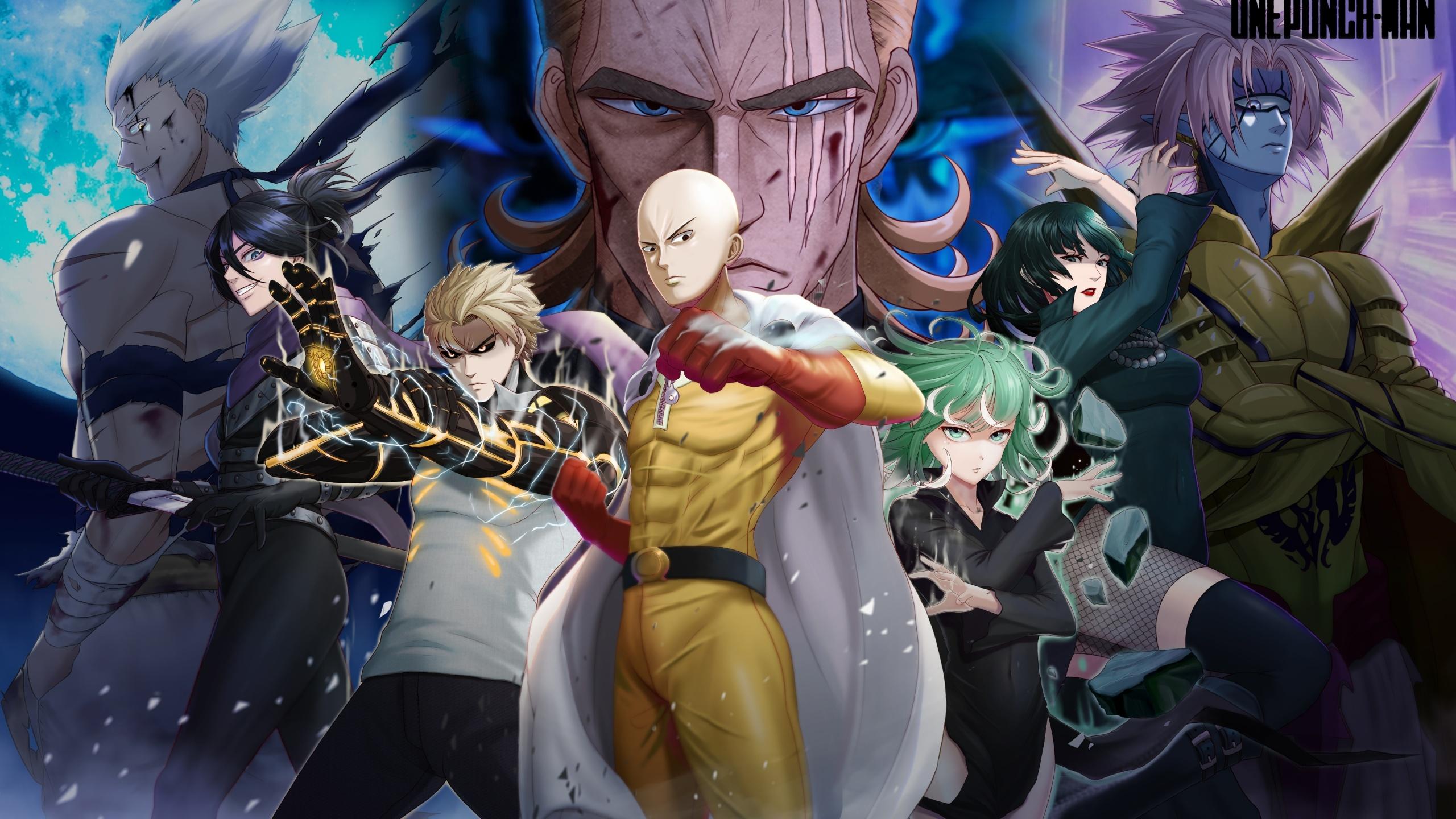 2560x1440 One Punch Man Wallpaper 4K, Fubuki, Garou, Garou, King, Saitama, Sonic, Anime