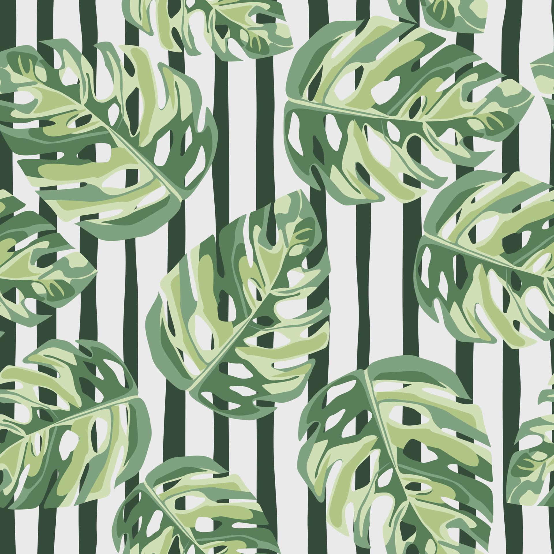 1920x1920 Green monstera leaves floral random seamless pattern. White background with black strips. Hand draw wallpaper