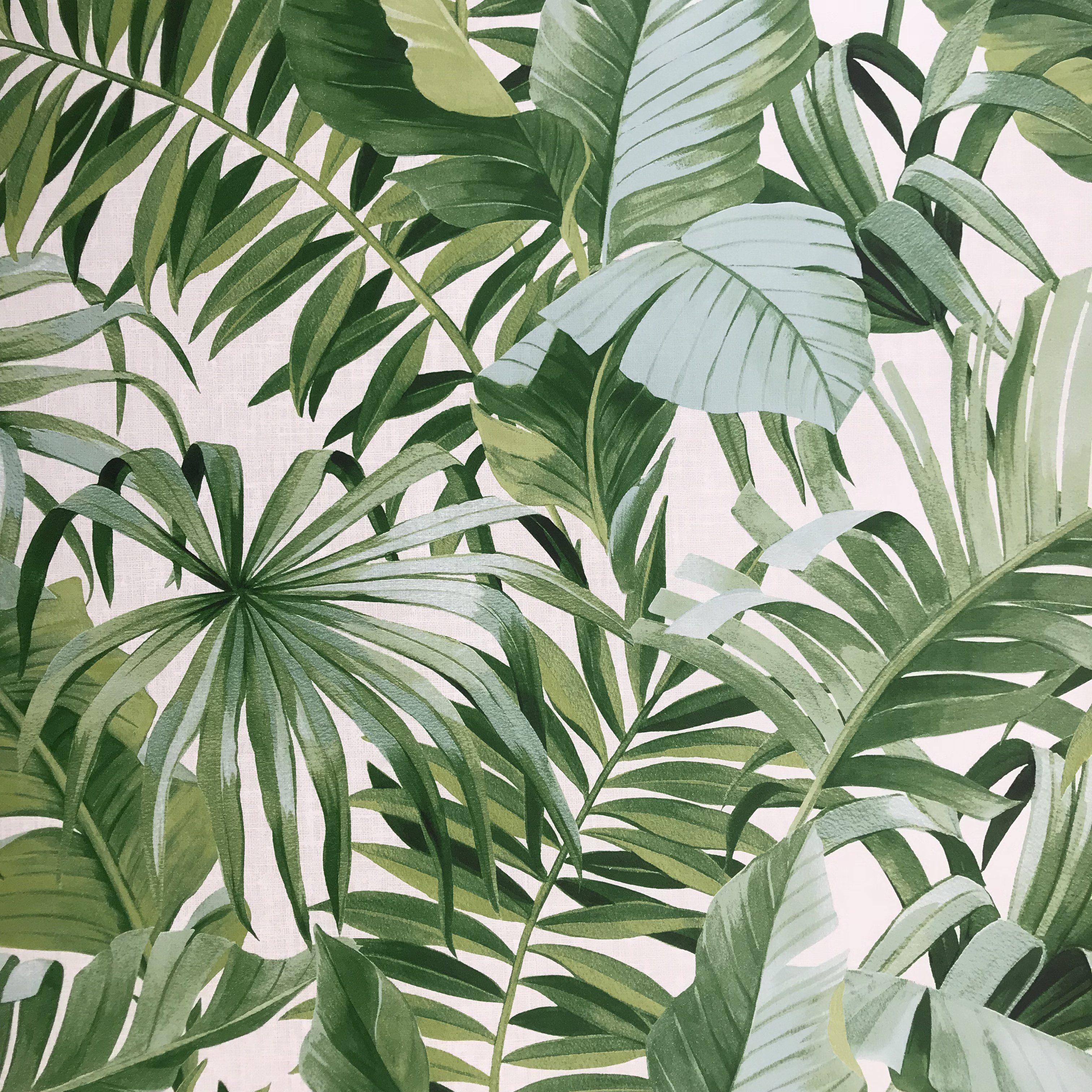 3024x3024 2744 24136 Brewster Palm Leaves Banana Leaf White Green Tropical Wallpaper. Зеленые фоны, Зеленые картины, Покраска обоев