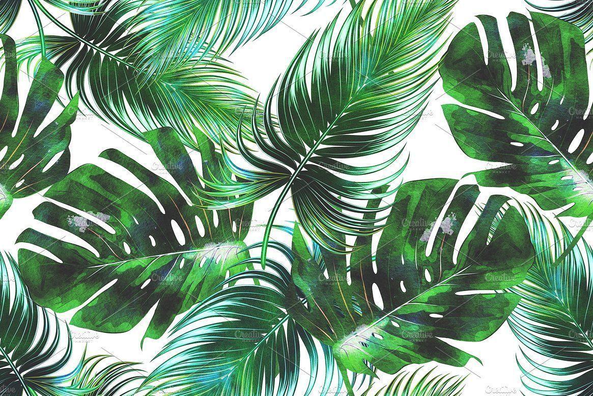 1165x777 Leaves Wallpaper