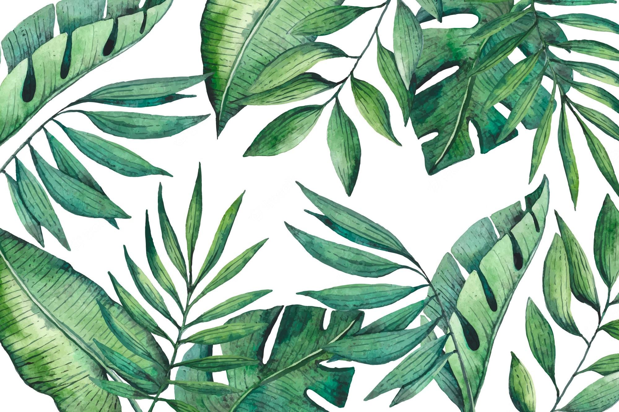 2000x1333 Tropical leaves background Vectors & Illustrations for Free Download