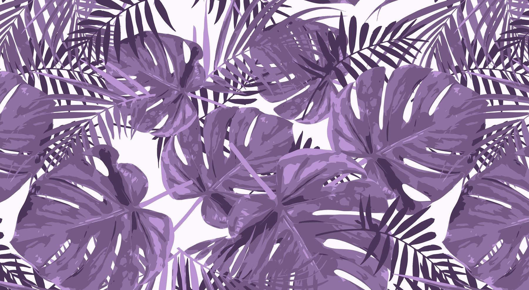 1800x987 Purple Monstera Leaves wallpaper