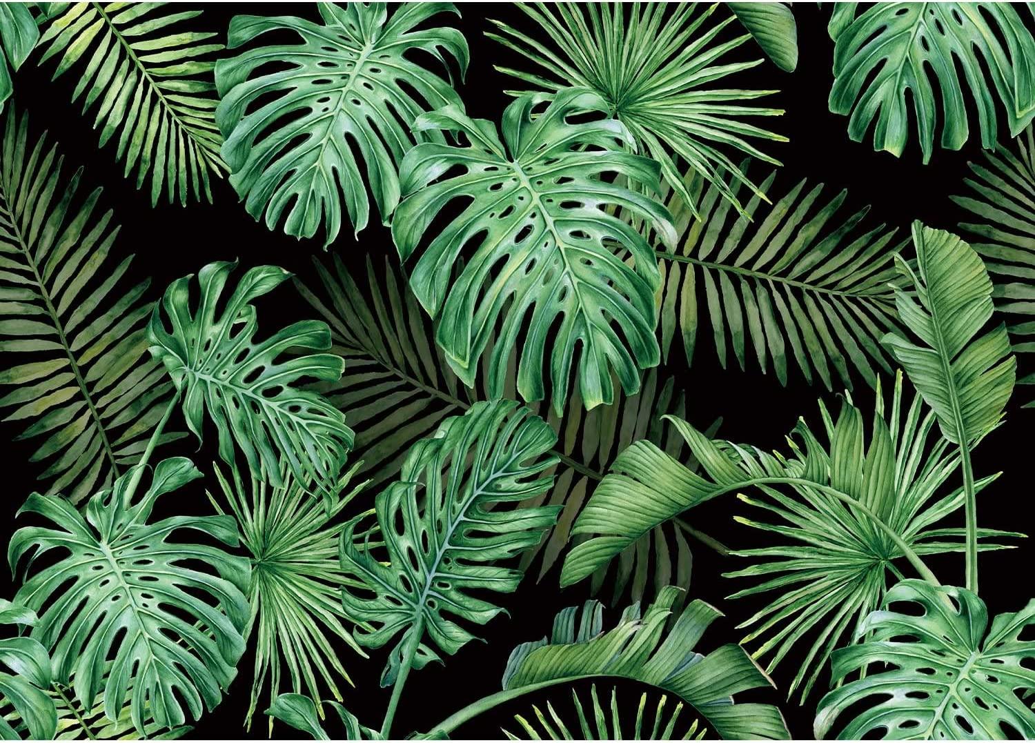 1500x1077 Amazon.com : SeekPro 7x5ft Summer Jungle Forest Backdrop Green Tropical Leaves Backdrops Palm Trees Monstera Photography Background for Interior Wallpaper Summer Camp Photo Studio Props Birthday Party Banner