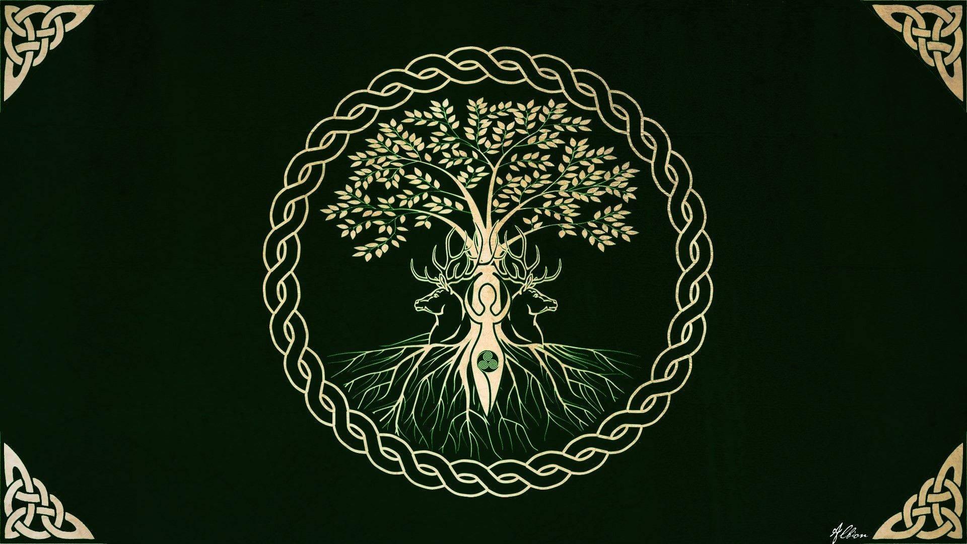 1920x1080 Download Viking Tree Of Life Wallpaper